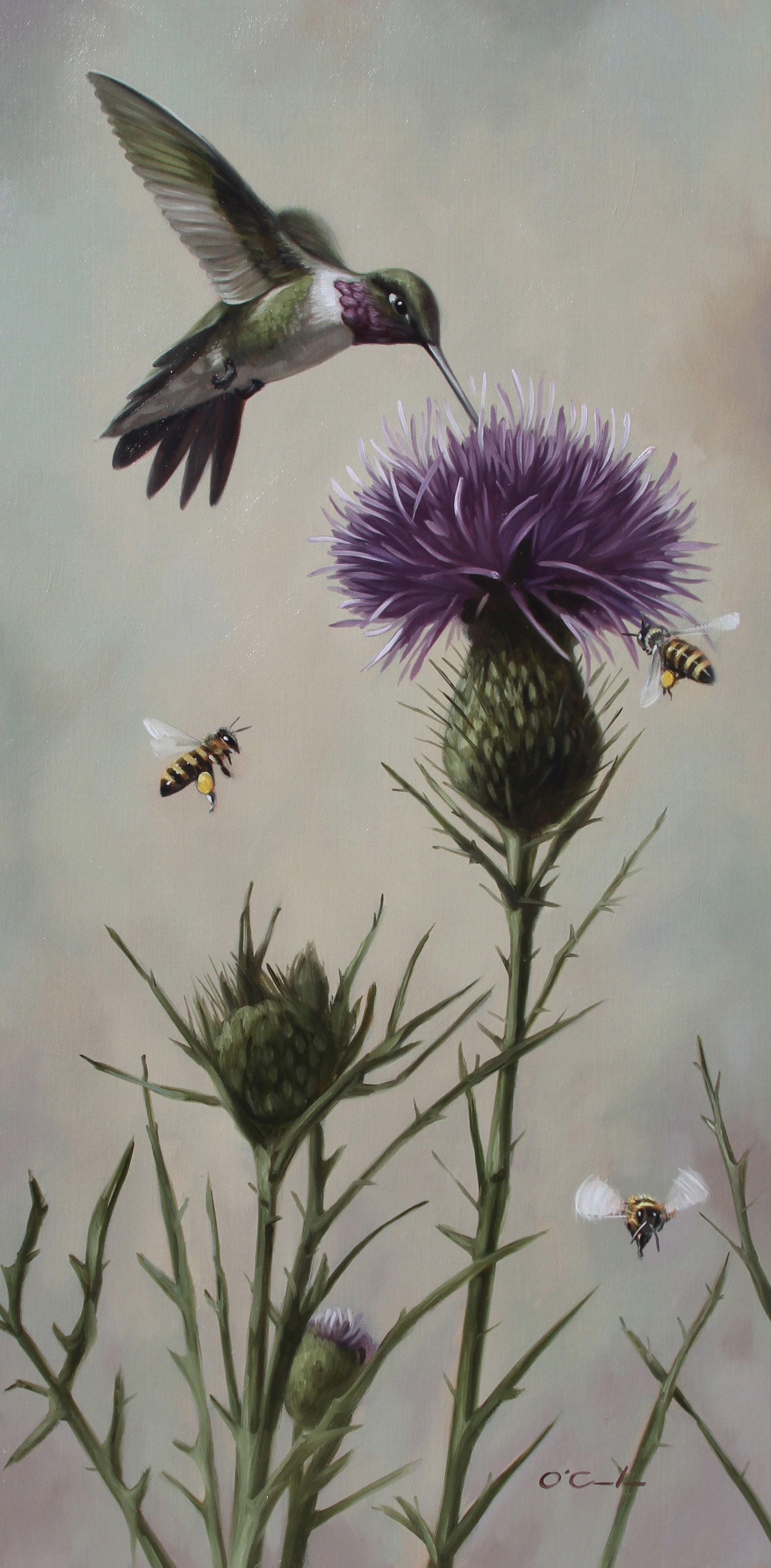 THISTLE ONLY TAKE A SECOND by Jennifer O'Cualain