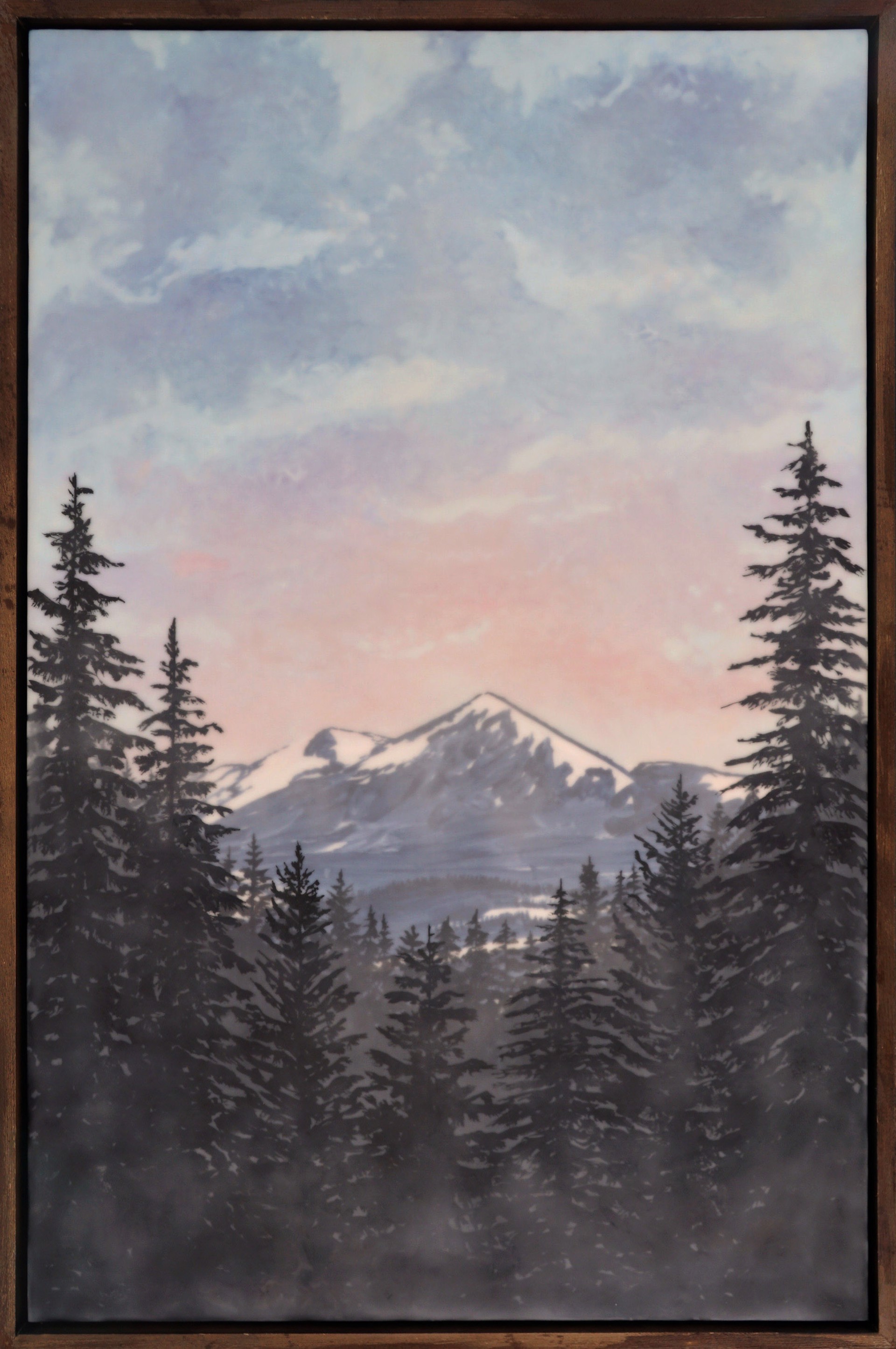 Early Morning Light Rising Behind Snow Capped Mountains Lighting Up The Clouds And Sky, Framed By Slender Silhouettes Of Evergreens.