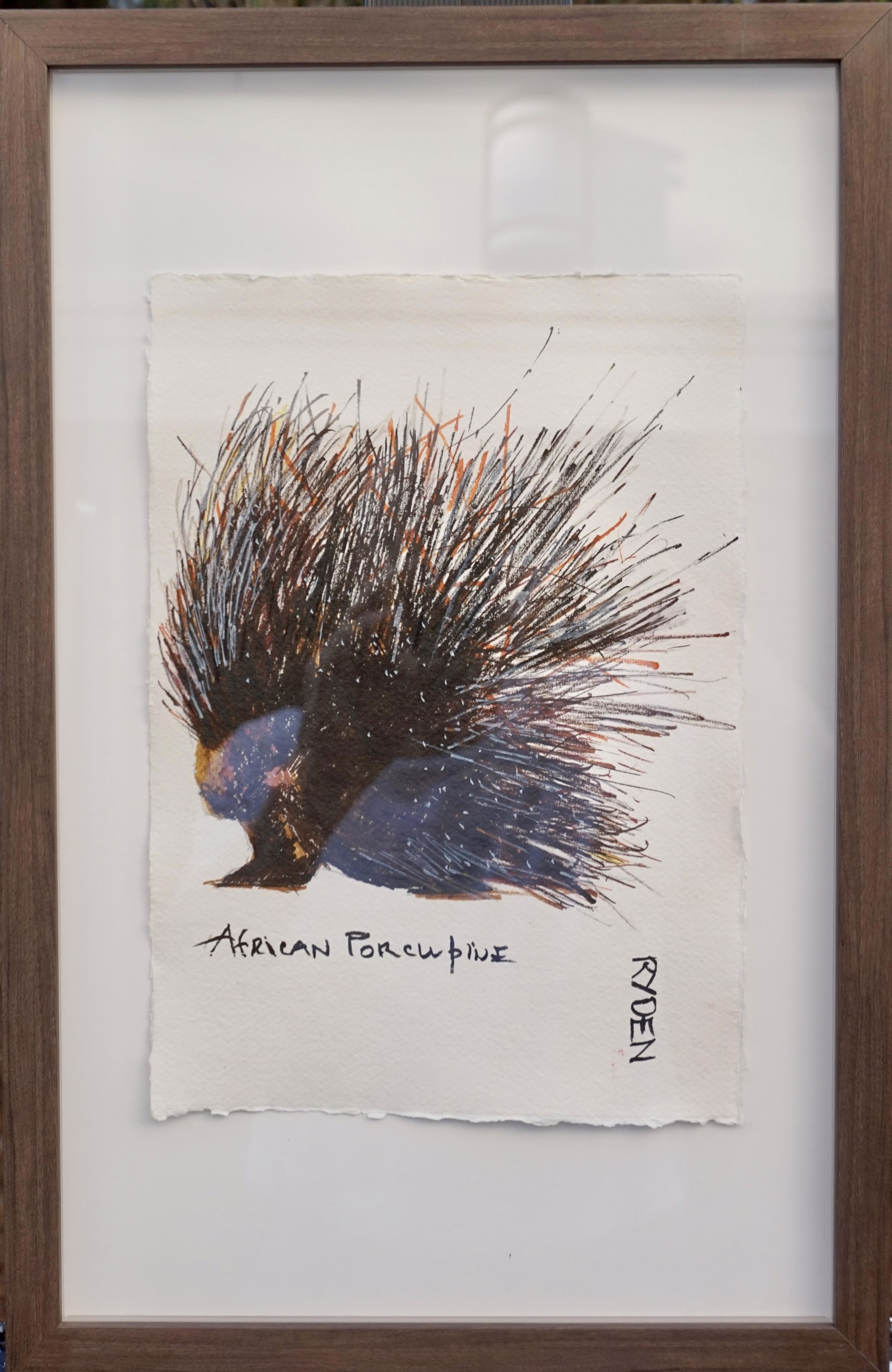 Porcupine by David Ryden