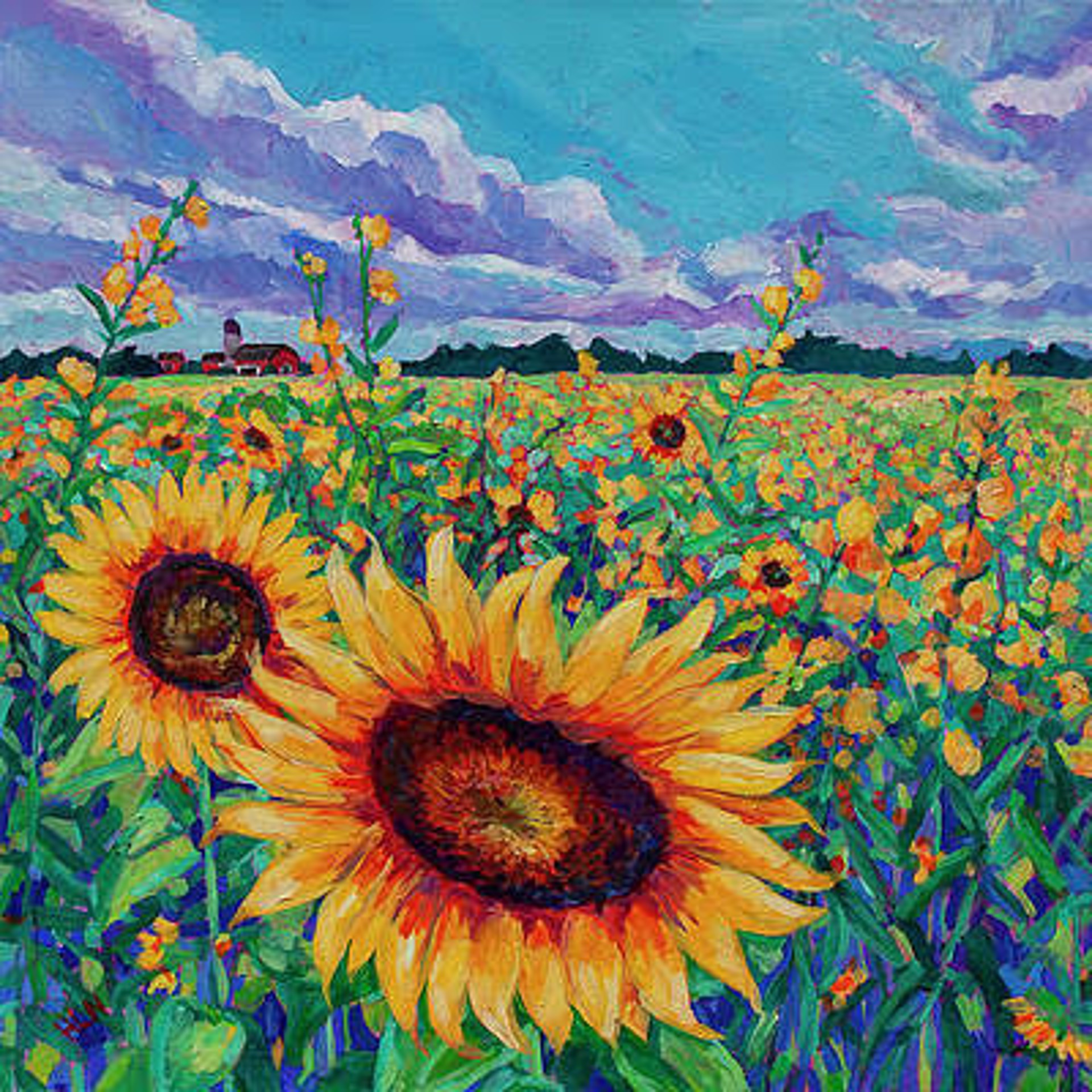 Sunflower Field 6 by Heather Nagy