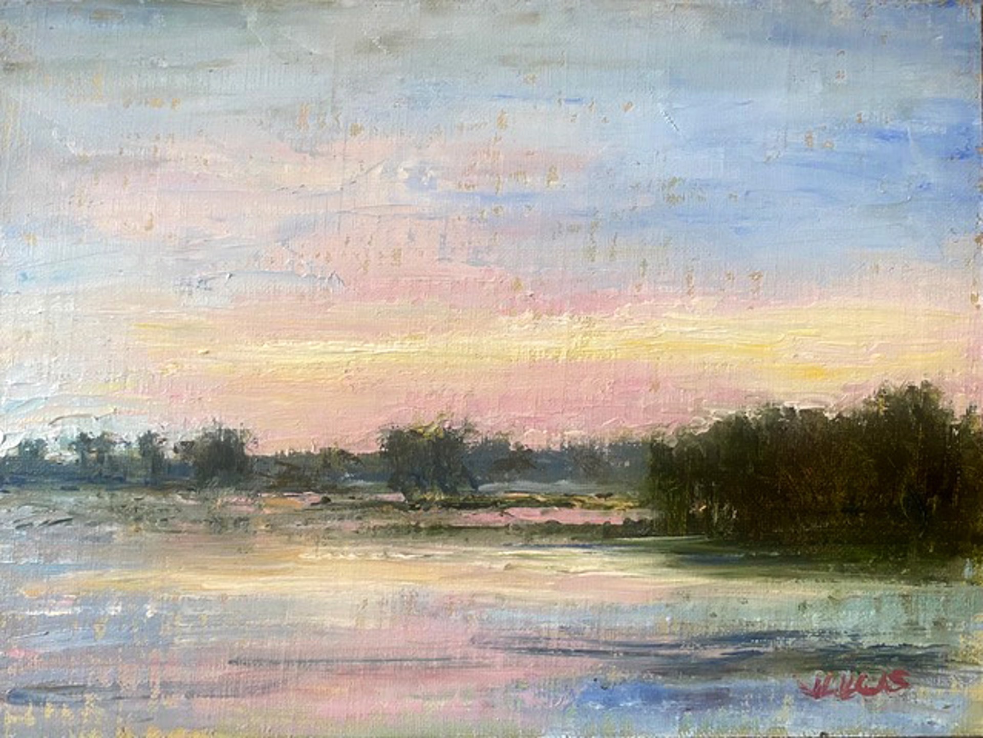 Pink Sky, Lake Martin by Janet Lucas Beck