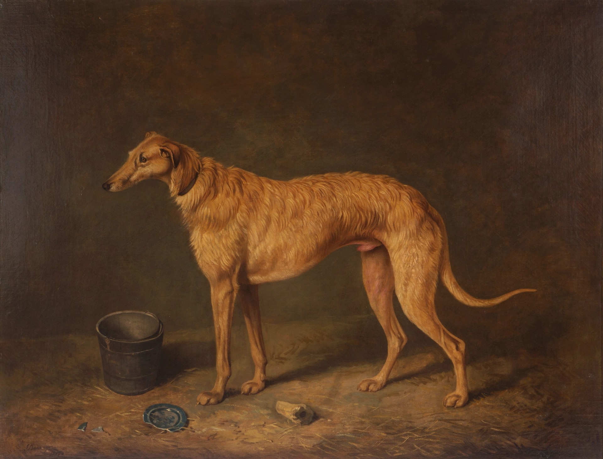 Portrait of a Long Dog by James Barenger