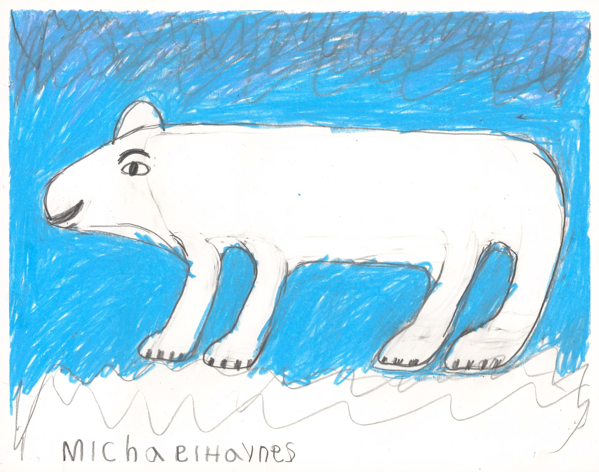 Polar Bear by Michael Haynes
