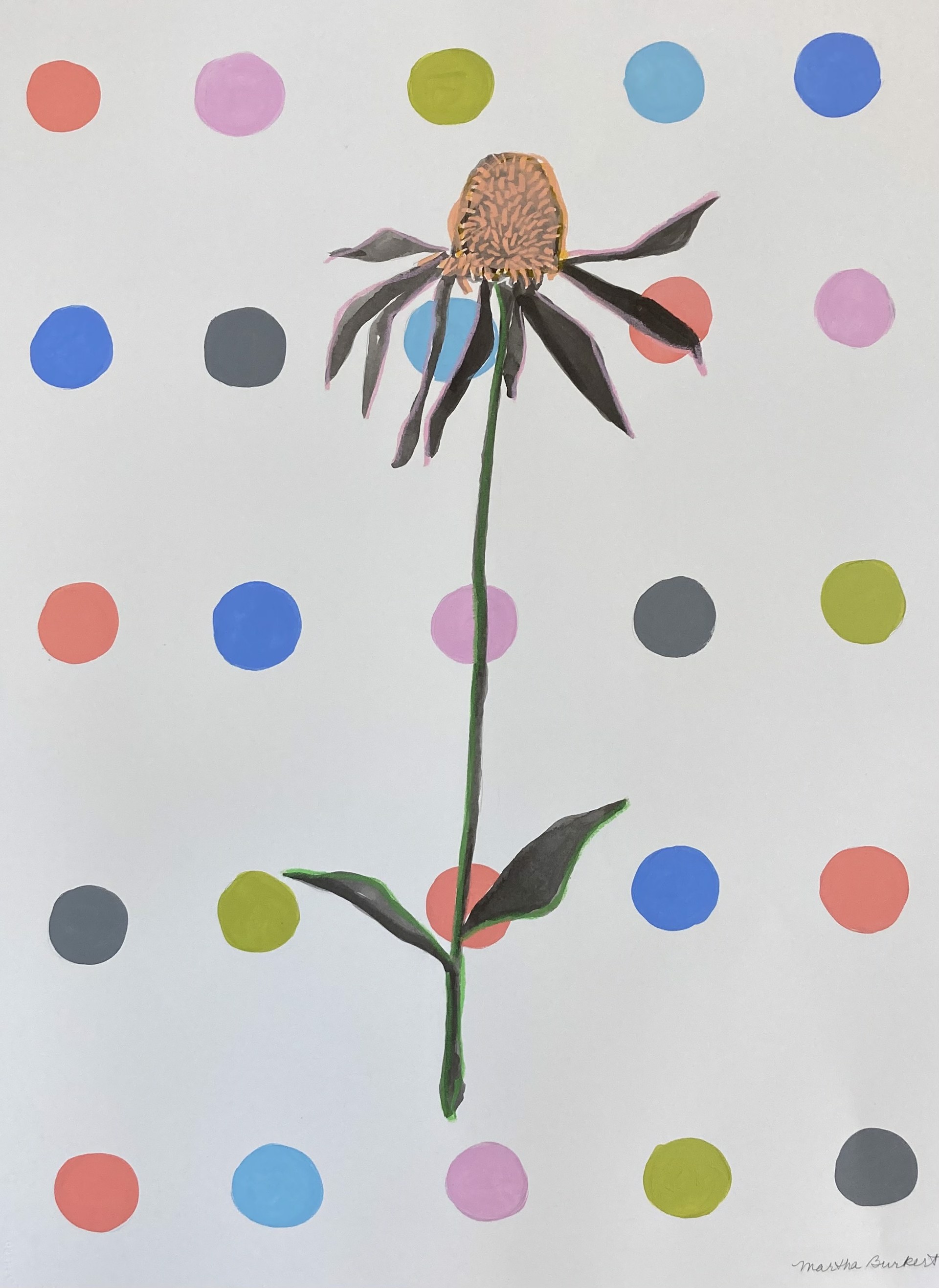 Dotted Coneflower 2 by Martha Burkert