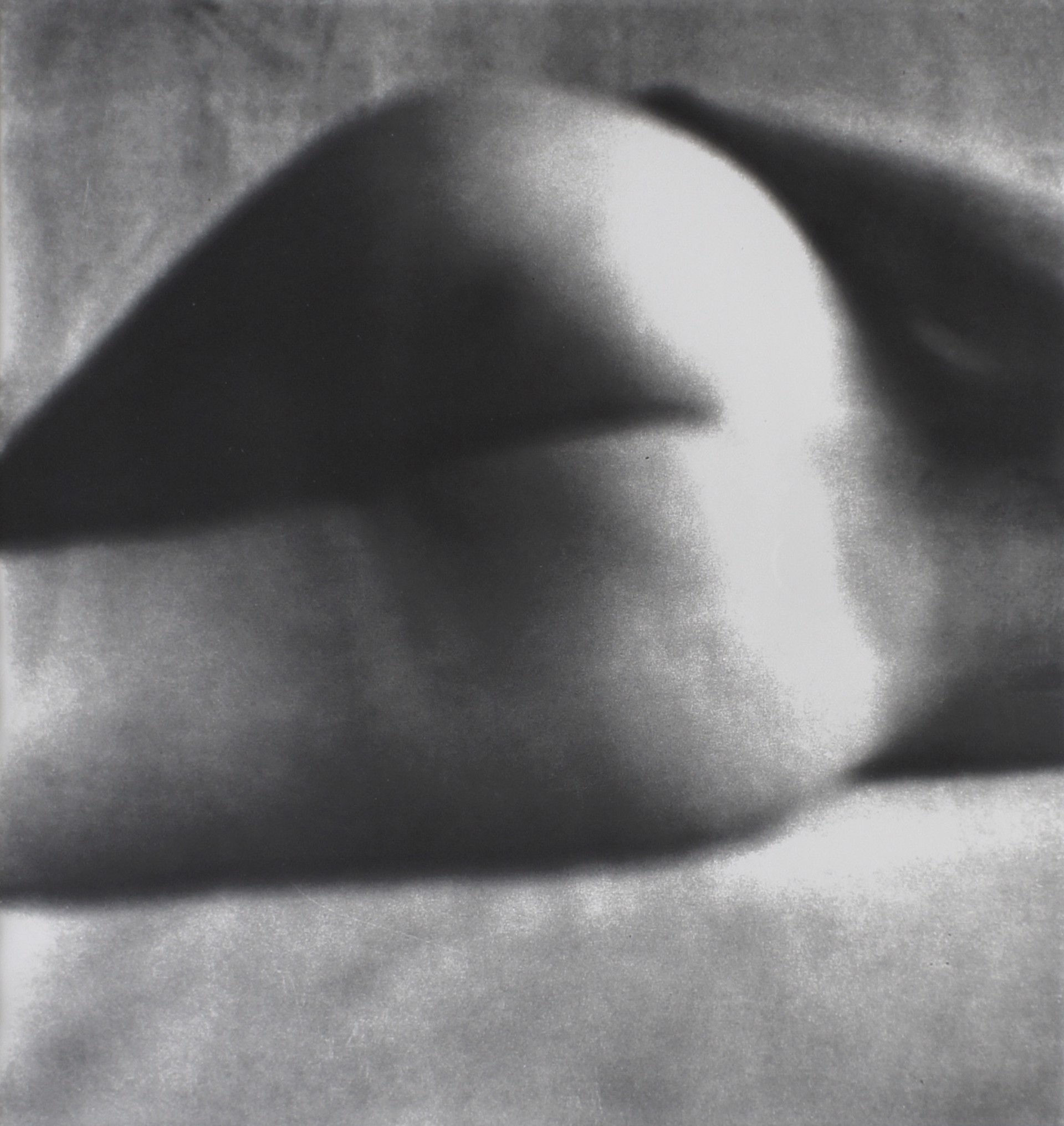 Nude 81 Variant  by Irving Penn
