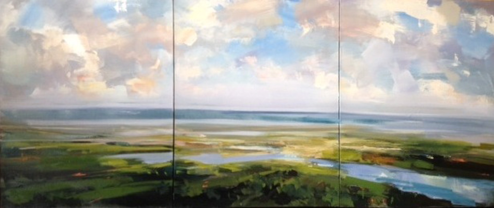 Coastal Triptych by Craig Mooney