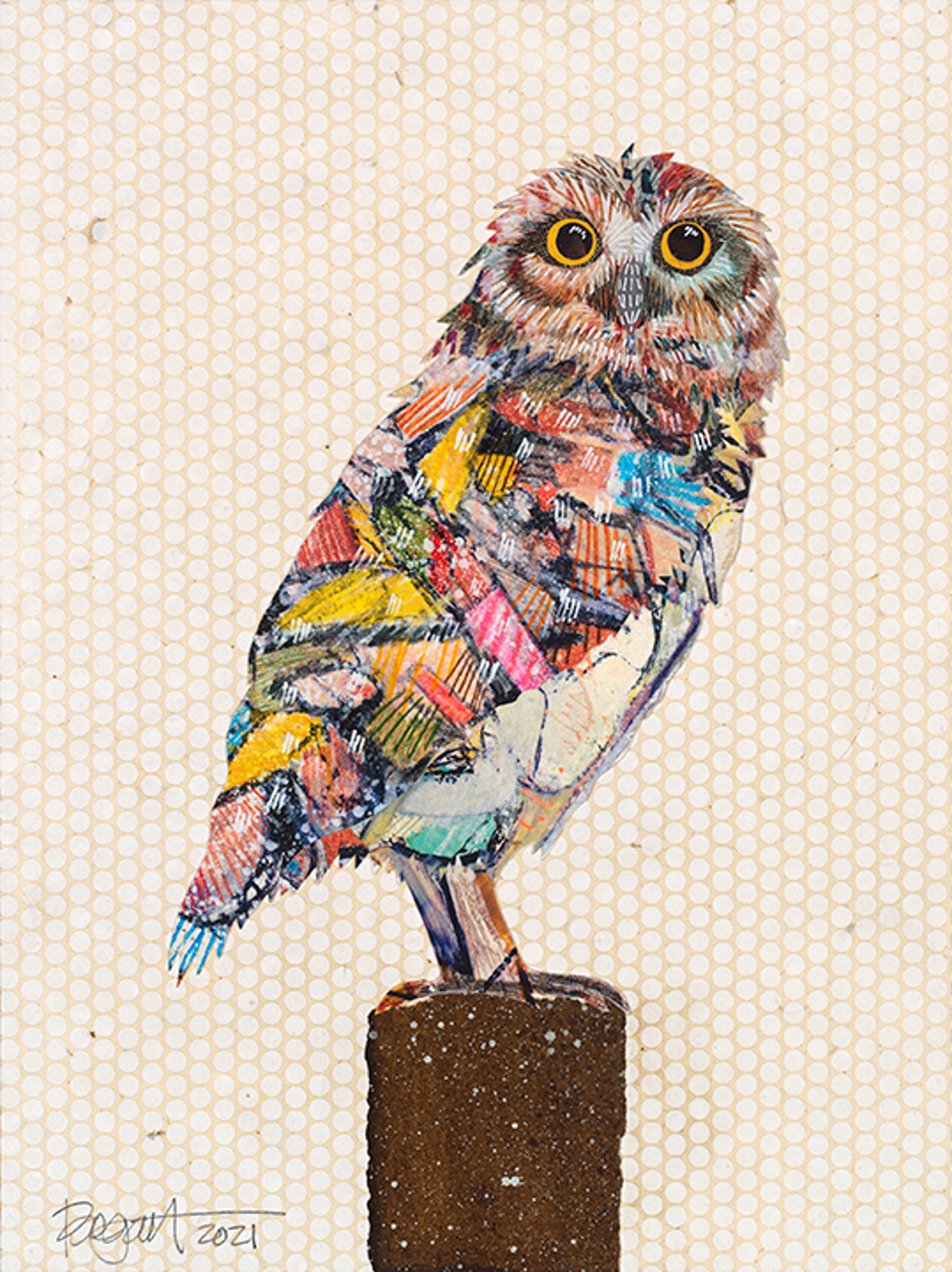 Screech Owl 3 by Brenda Bogart - Prints