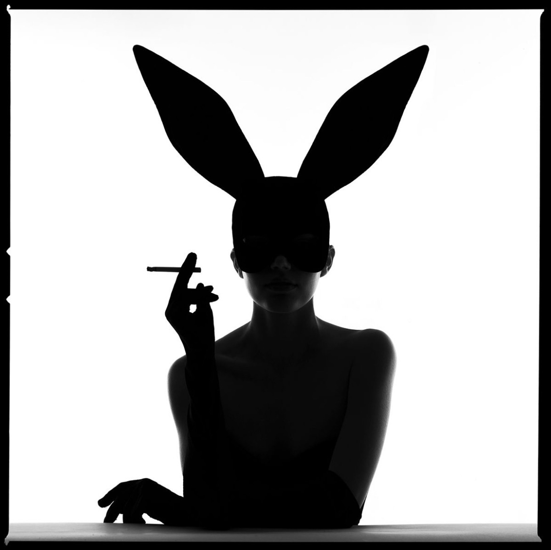 Bunny Silhouette III by Tyler Shields