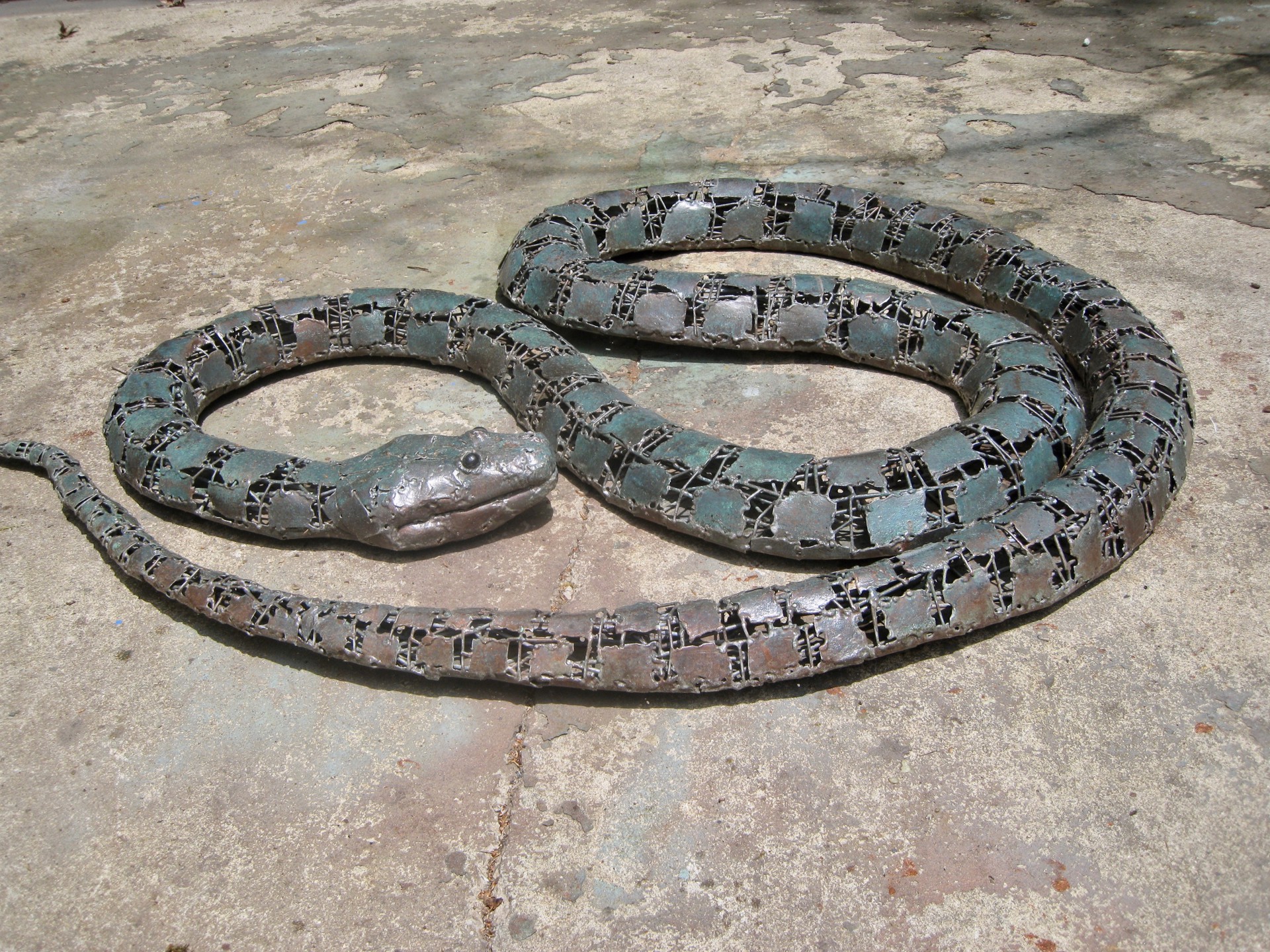 Constrictor Snake by William Allen