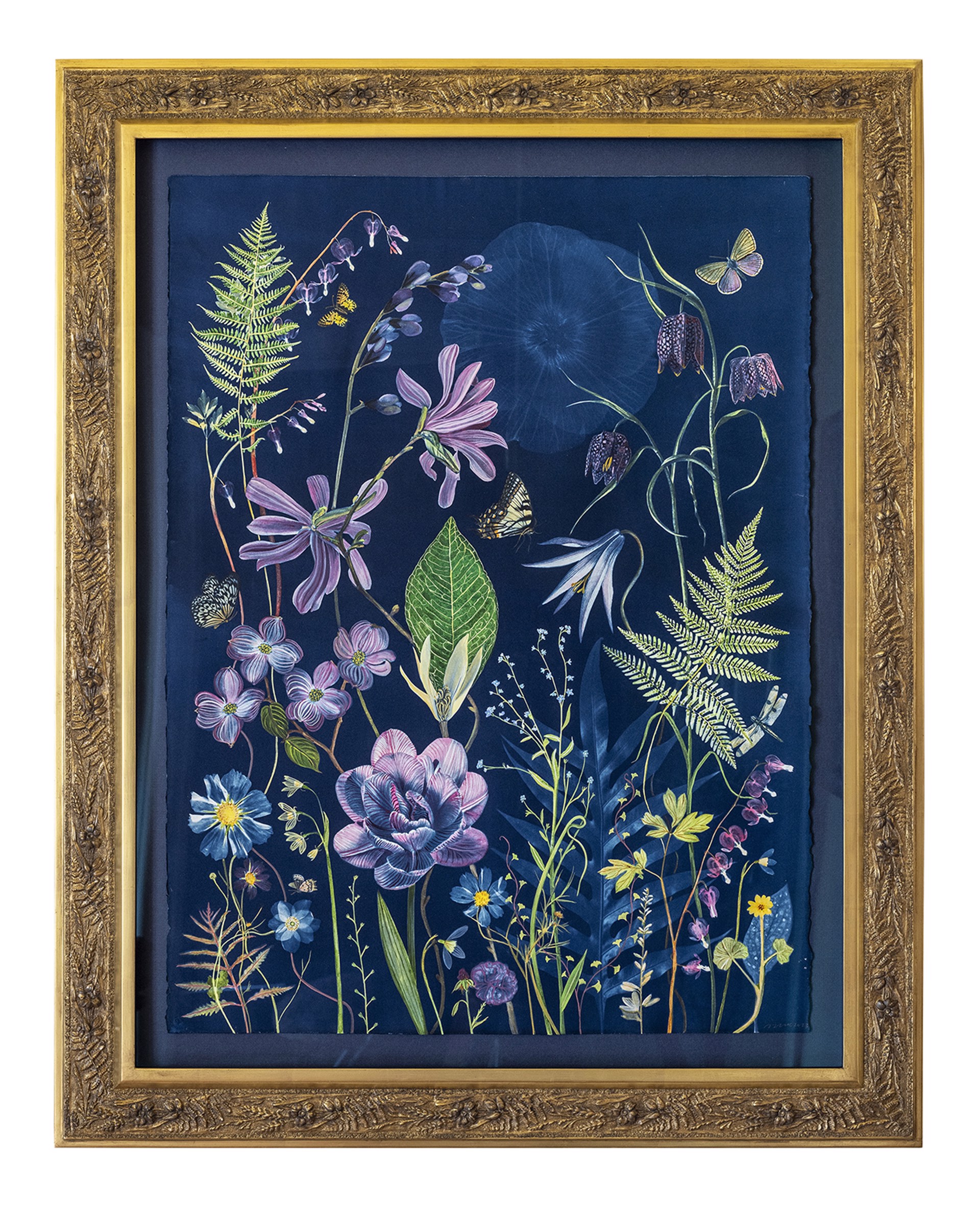 Picturesque Botany (Magnolia, Dogwood, Tulip, Ferns, Bleeding Heart, Lily, Pollinators, etc.) by Julia Whitney Barnes