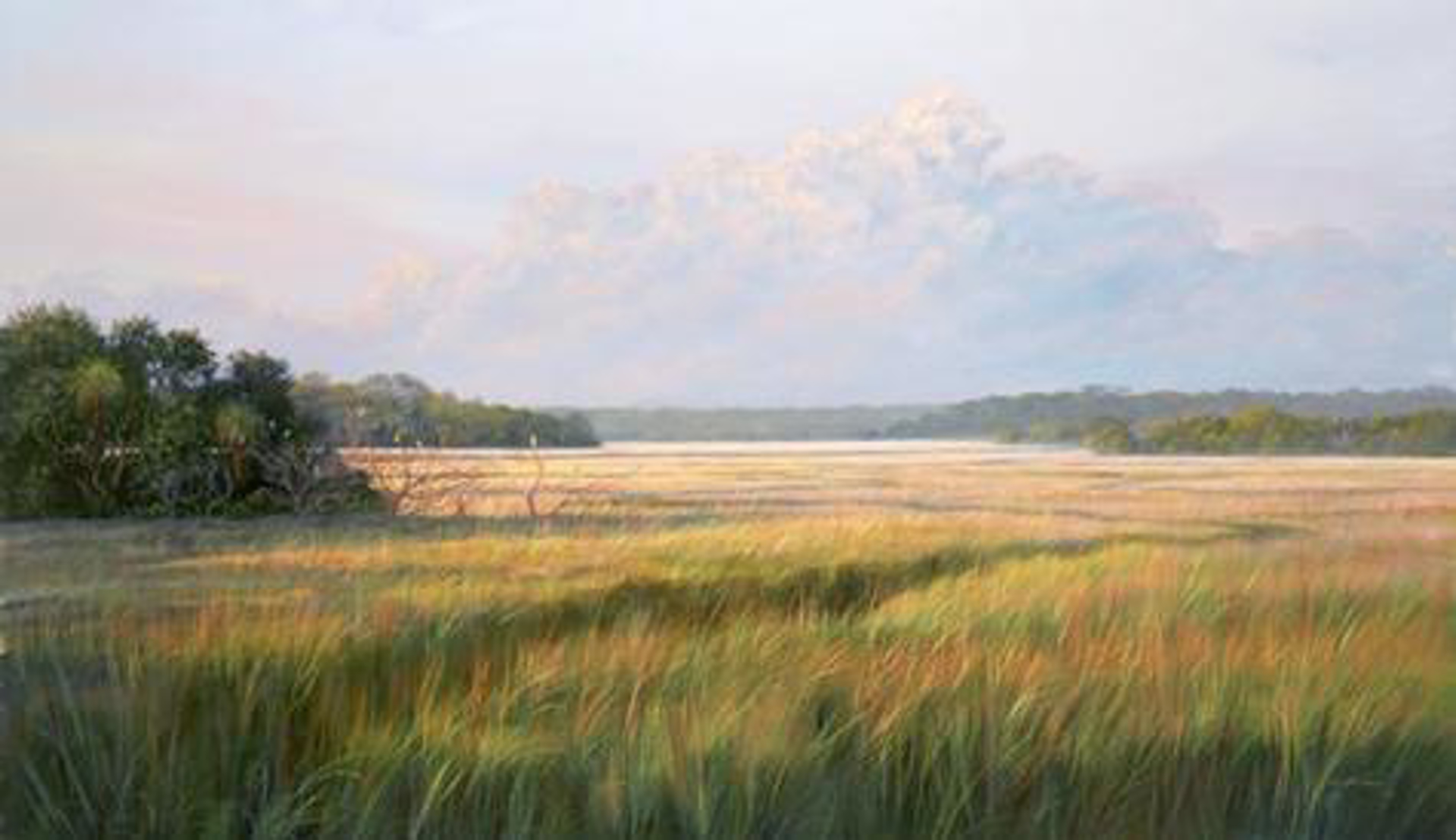 Distant Marsh by Douglas Grier -- Giclee Prints