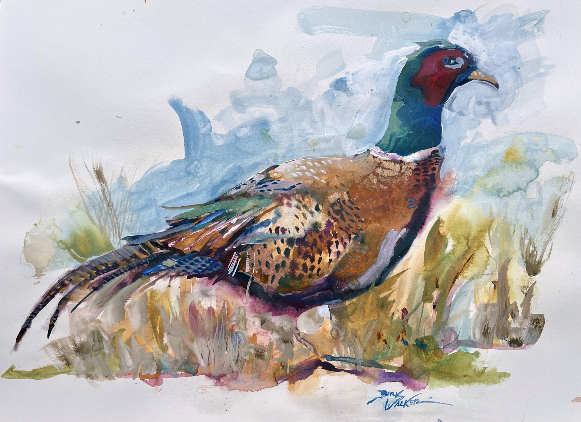Pheasant by Dirk Walker