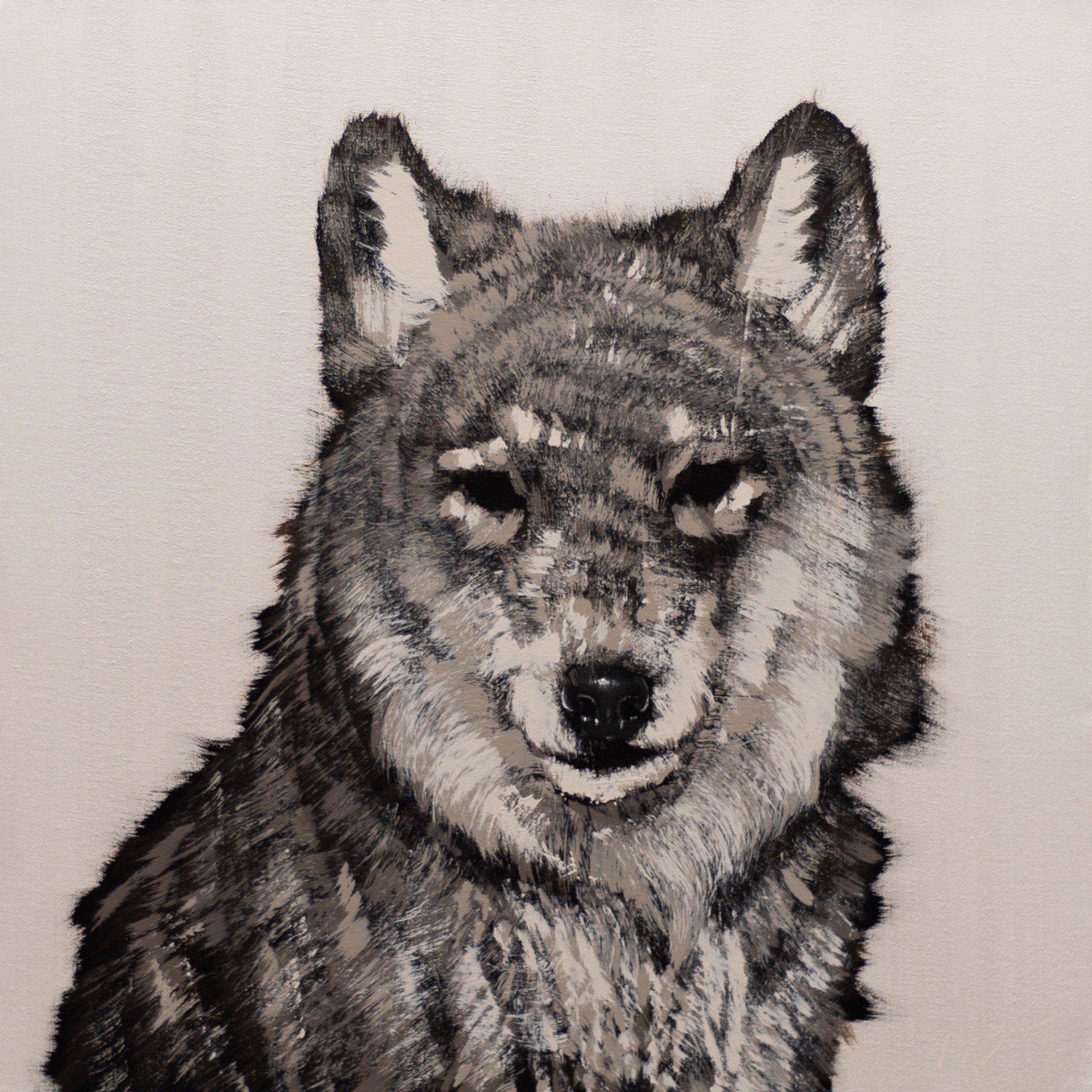Wolf on Silver by Josh Brown
