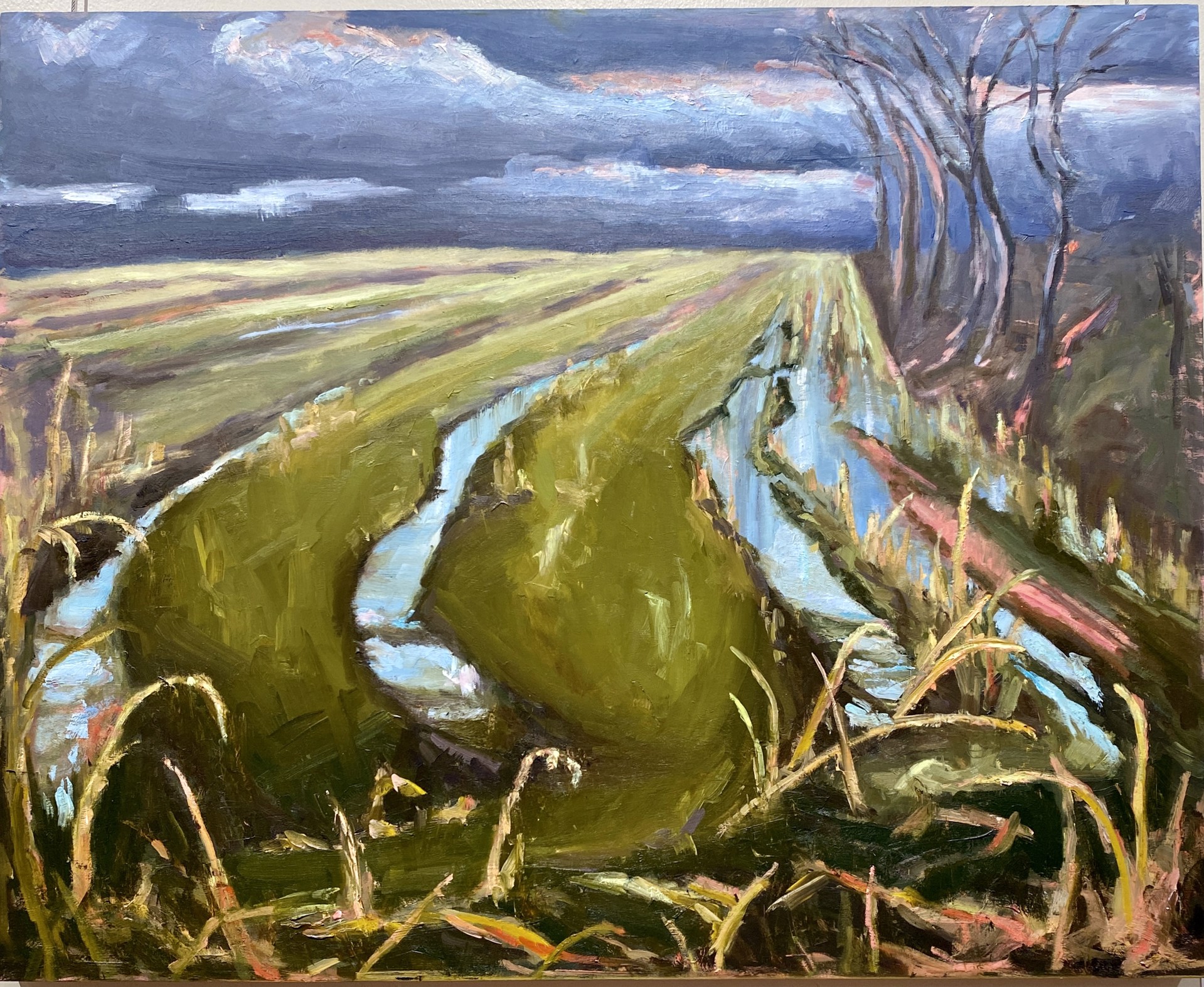 Hope in the Fallow Land by Kimberly Pagonis
