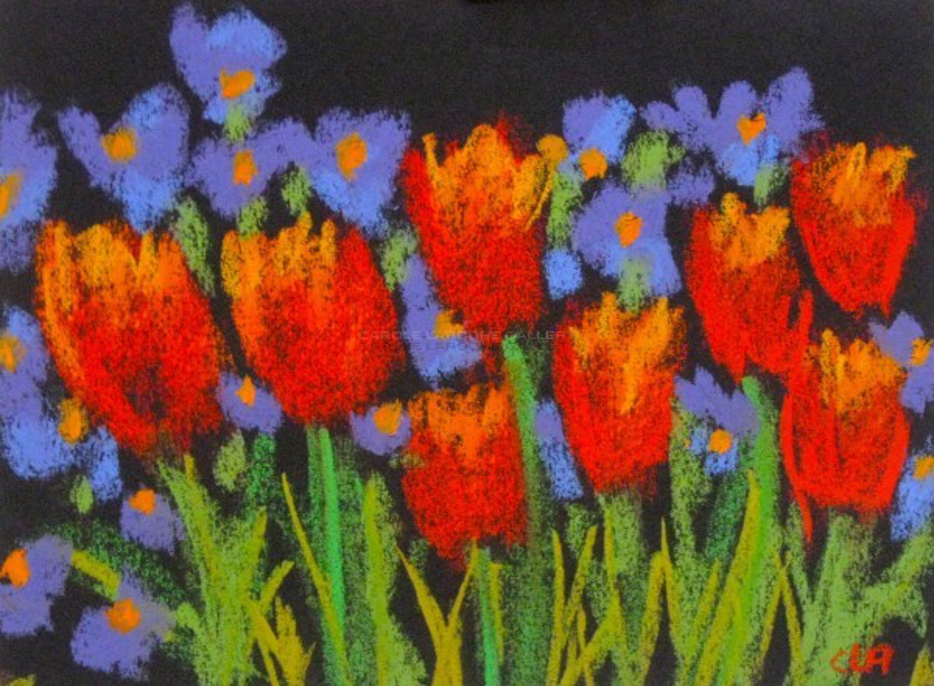 Tulips and Bluebells   by Carole LaRoche