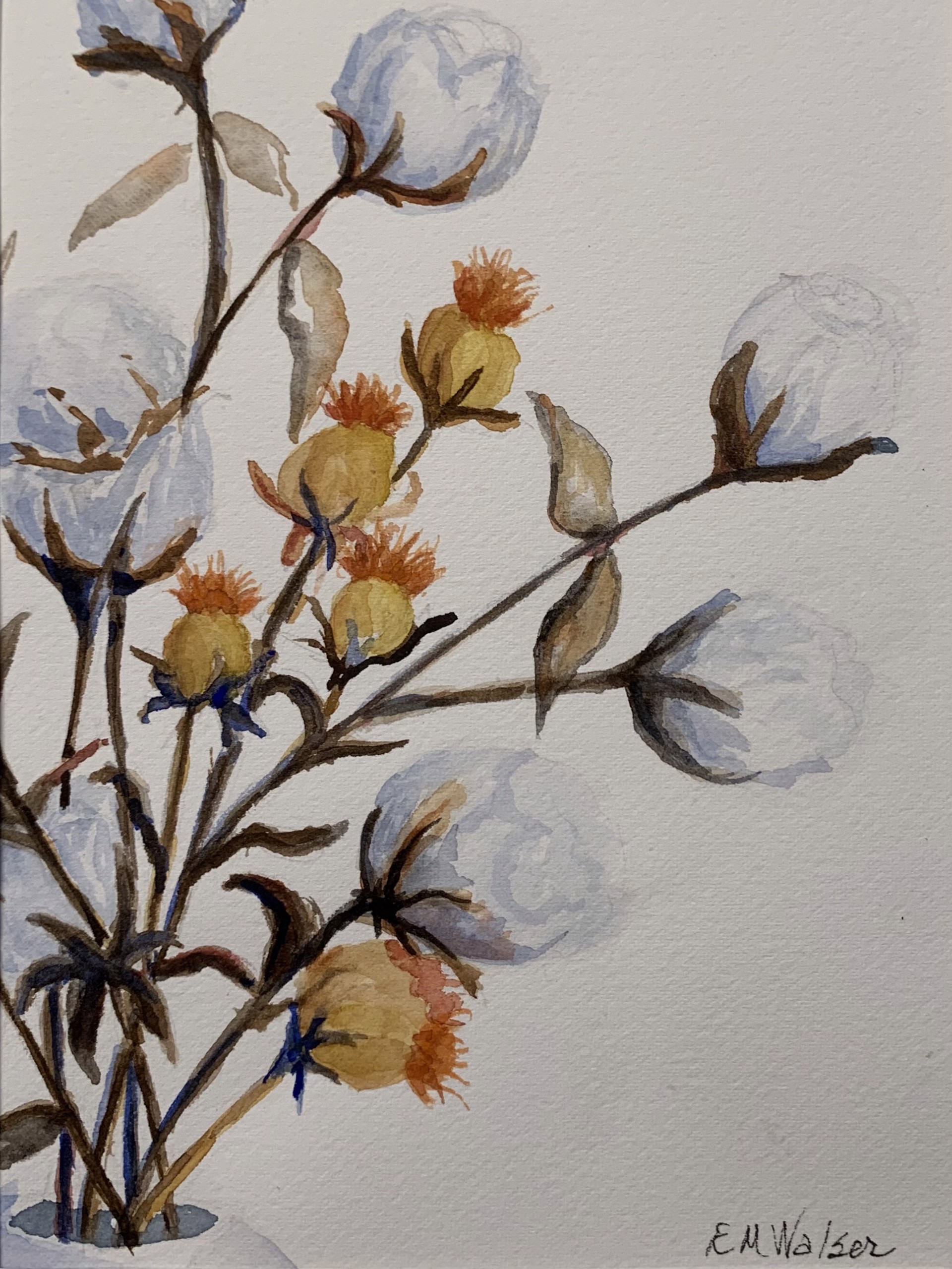 Cotton and Safflower by Betty Walser