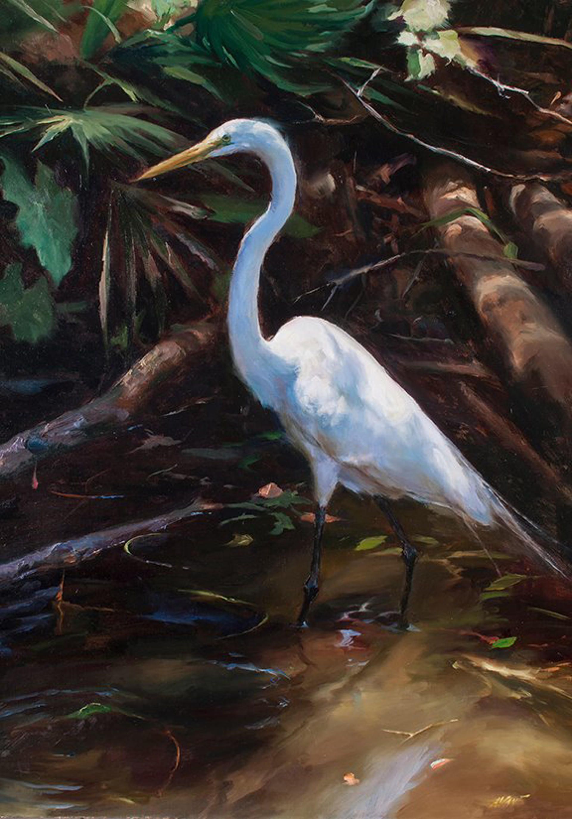 White Egret by Dominic Avant