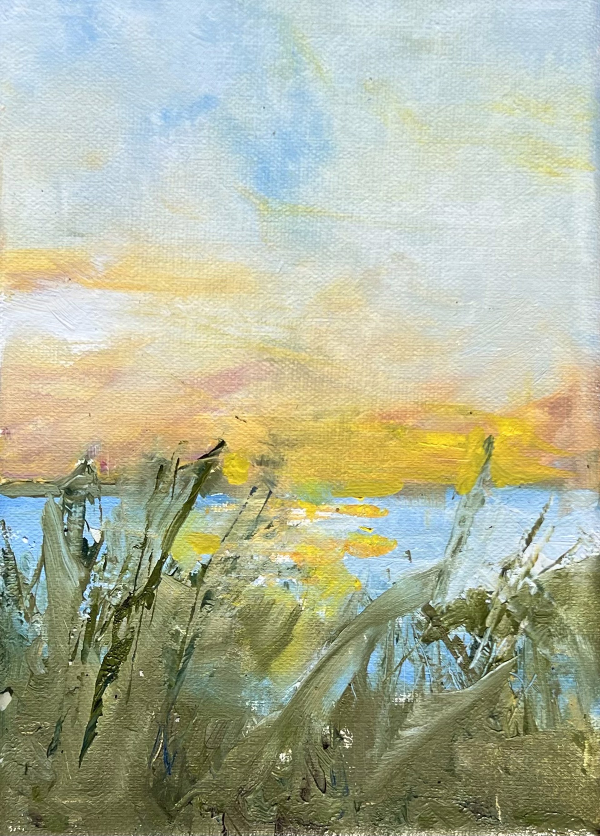 Wetlands Study by Maggie Kruger