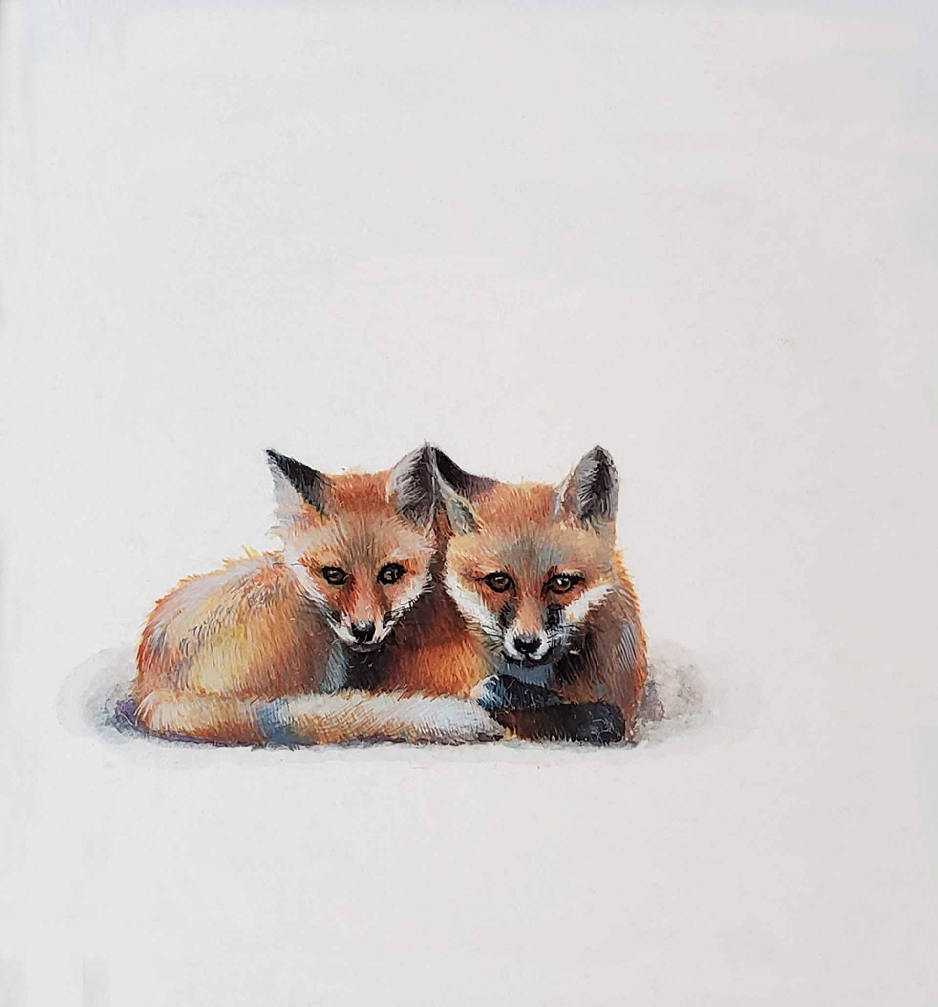 Fox Cubs by Dina Brodsky
