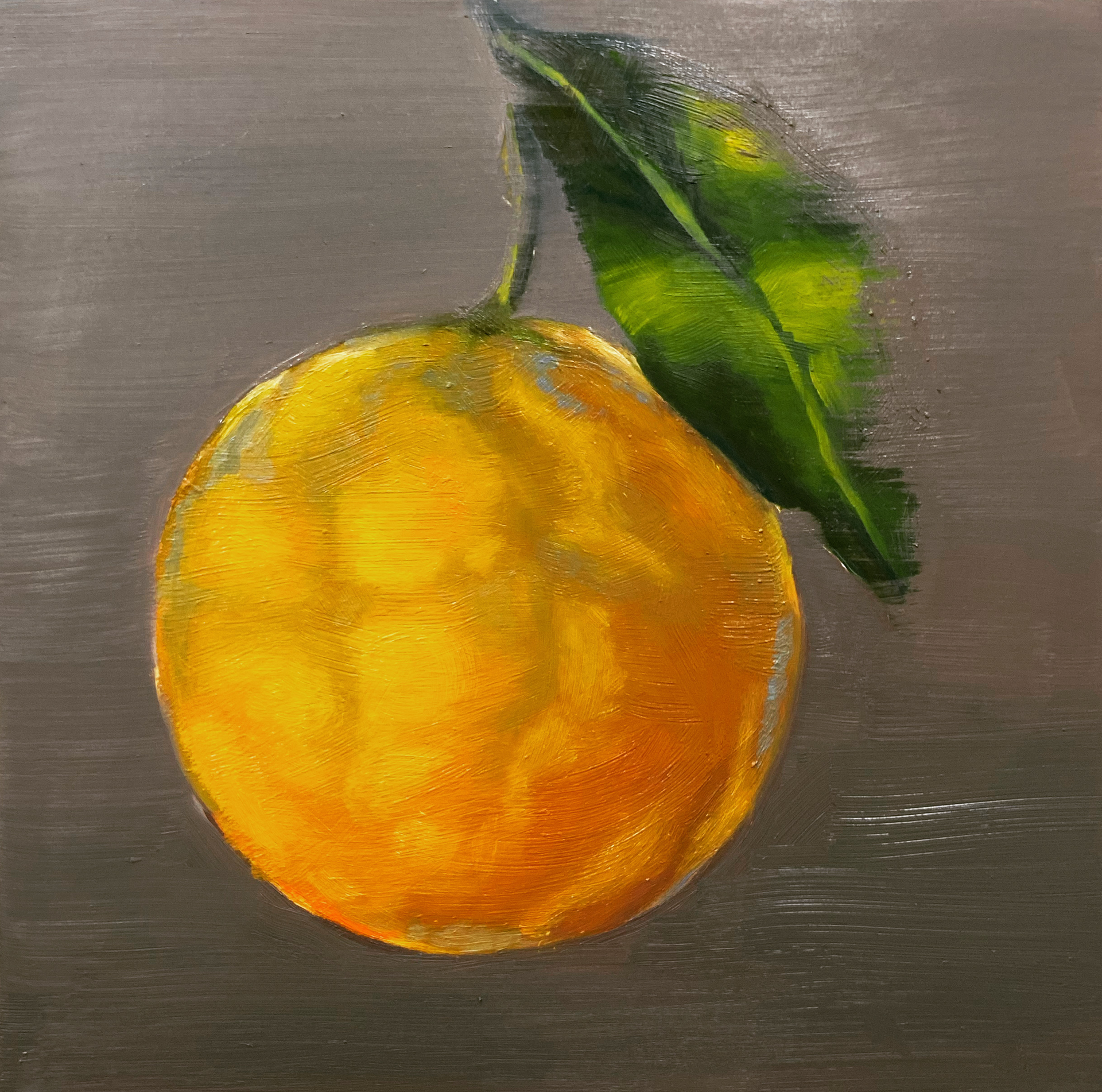 Citrus by Melissa DeTroy