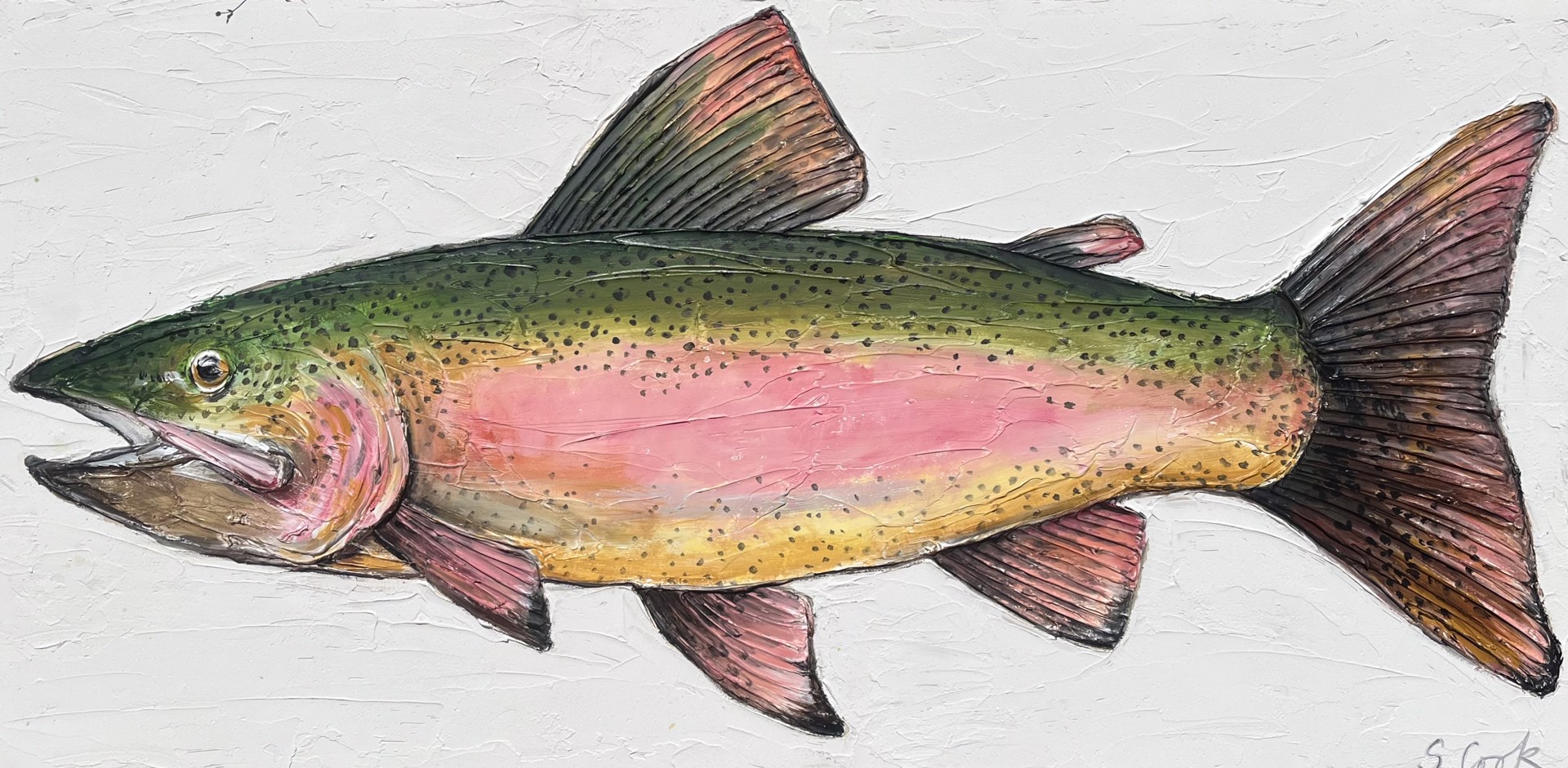 Rainbow Trout by Sherry Cook