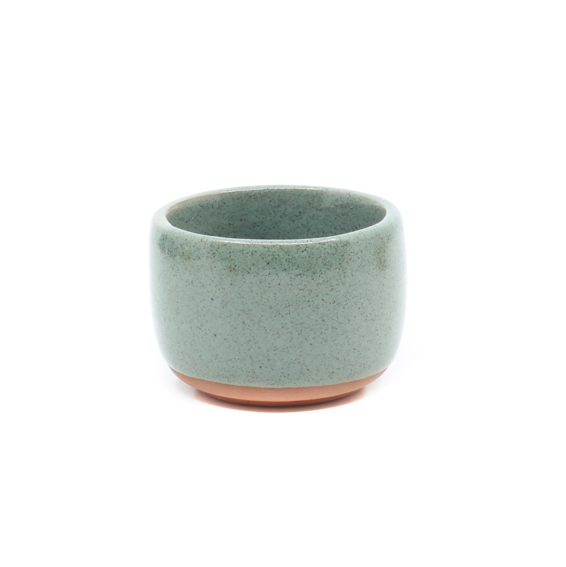 Cuenquito (Succulent) by Sabi Studio