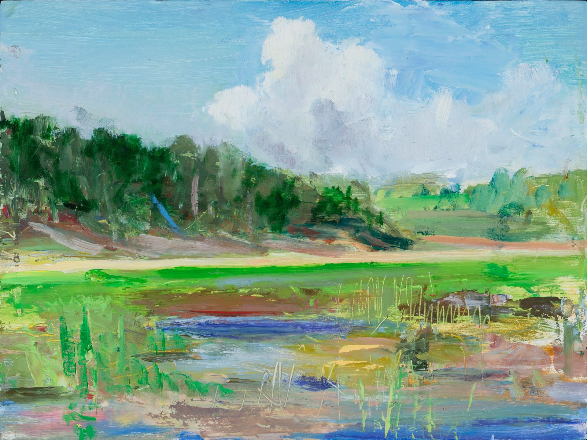 Truro Inlet Marsh by Donald Beal