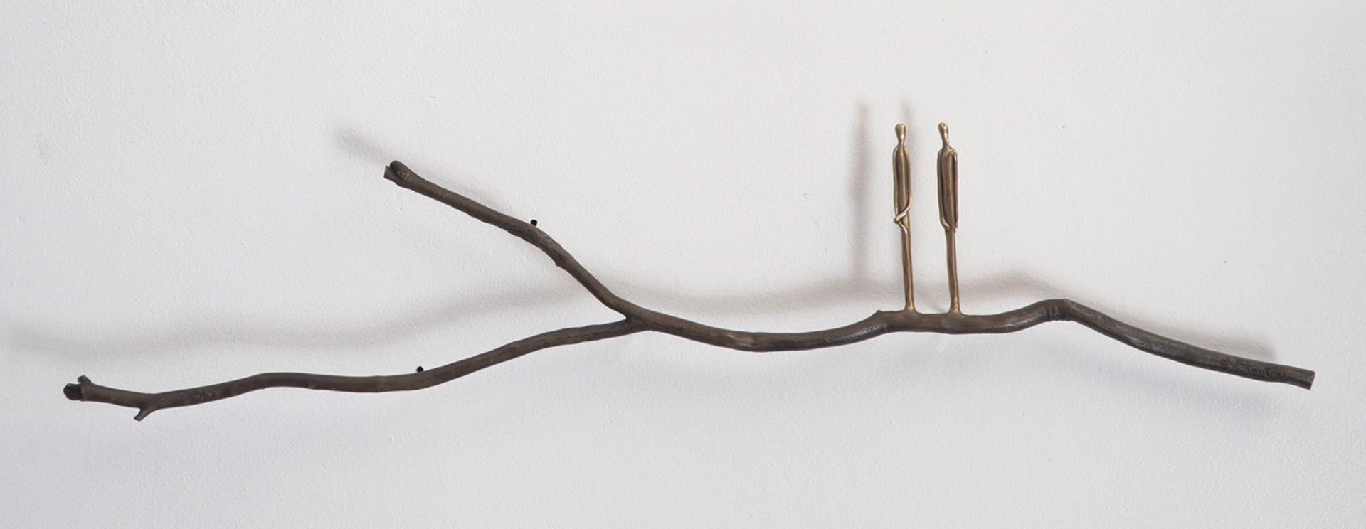 Graft Series EG2 by Jennyfer Stratman