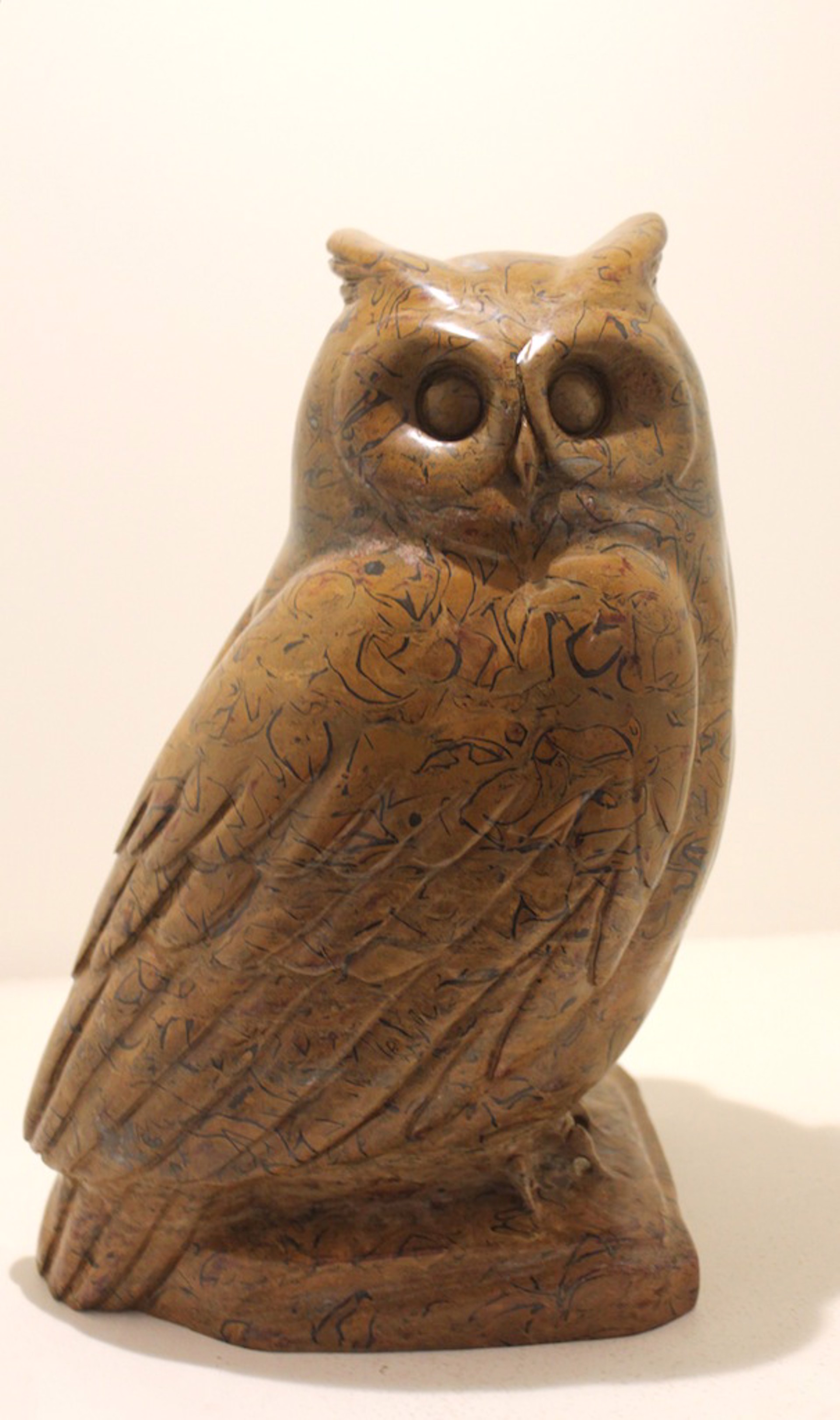 Big Horn Owl by Ken Li