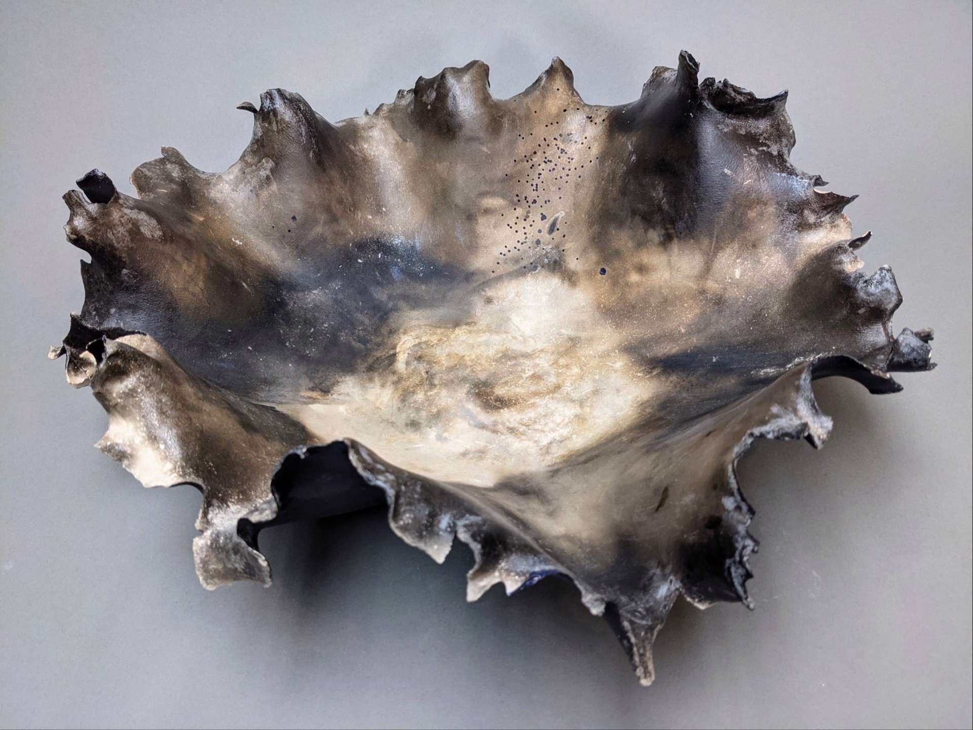 The Oyster Collection by Dawson Morgan