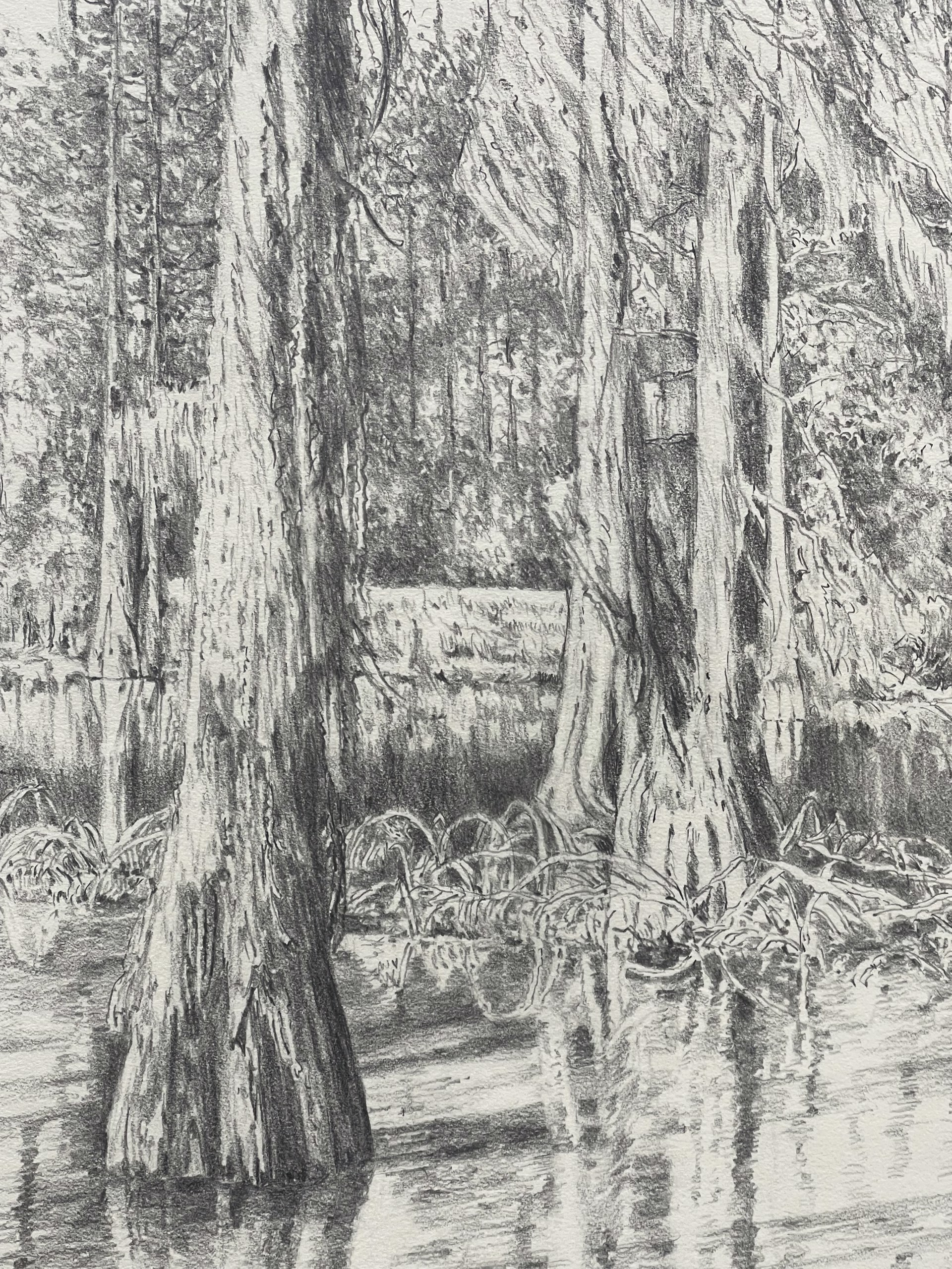 Swamp Trees by Shirley Rabe' Masinter