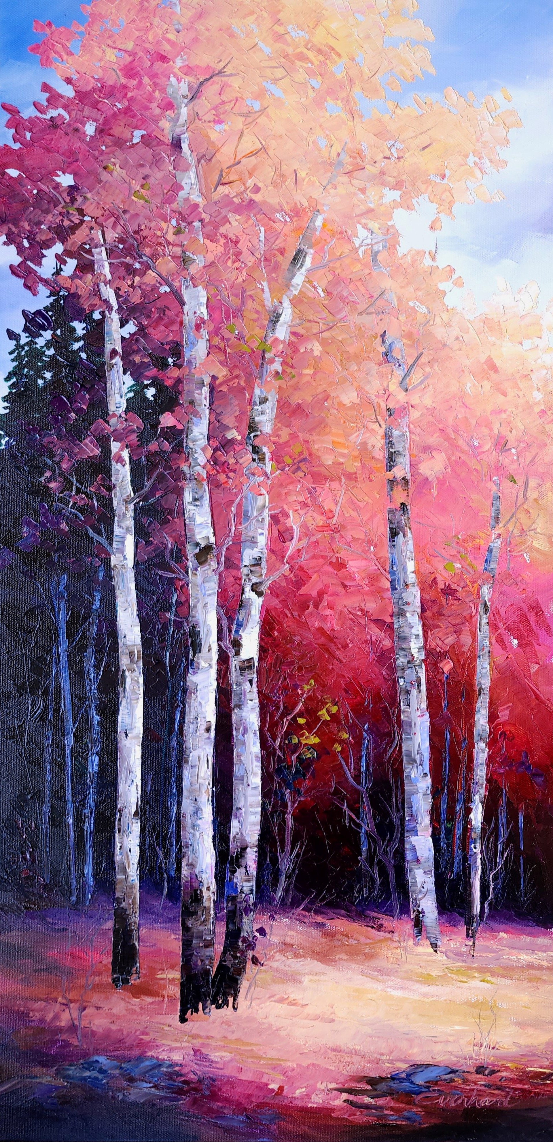Rainbow in the Forest by Amy Everhart
