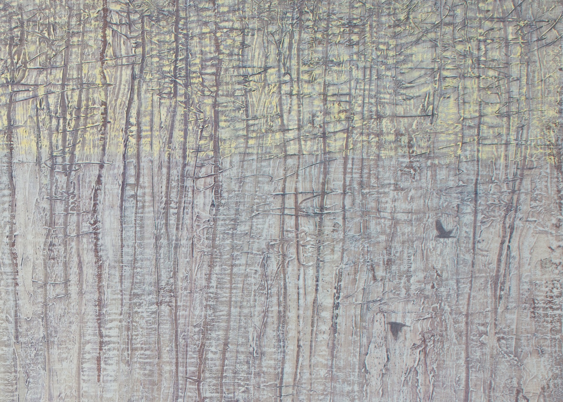 Winter Forest Textures by David Grossmann