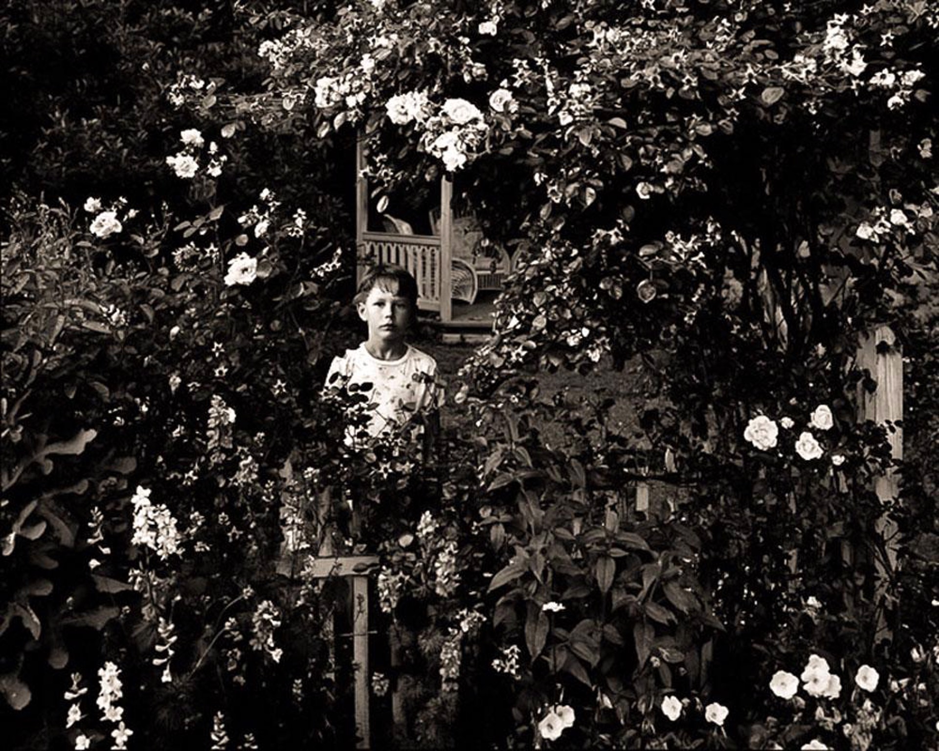 (#041)Wylie in the Garden  2/8 by Frank Hunter