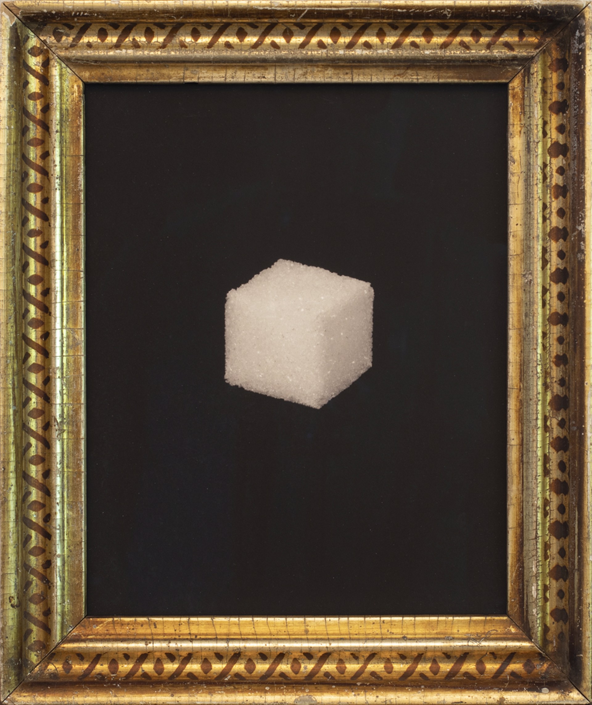 Sugar Cube 12/25 by Jefferson Hayman
