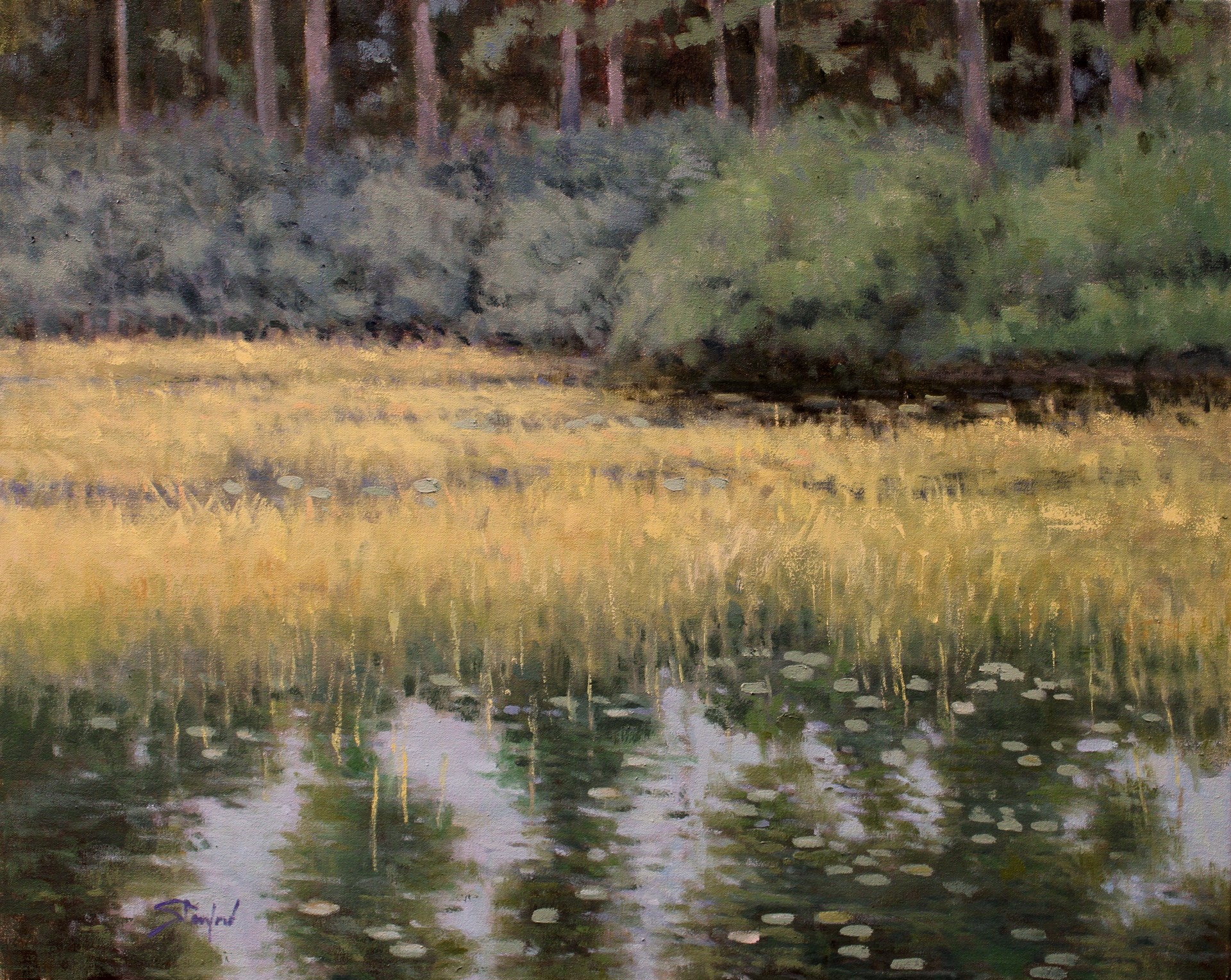 Marsh Pond by John Stanford