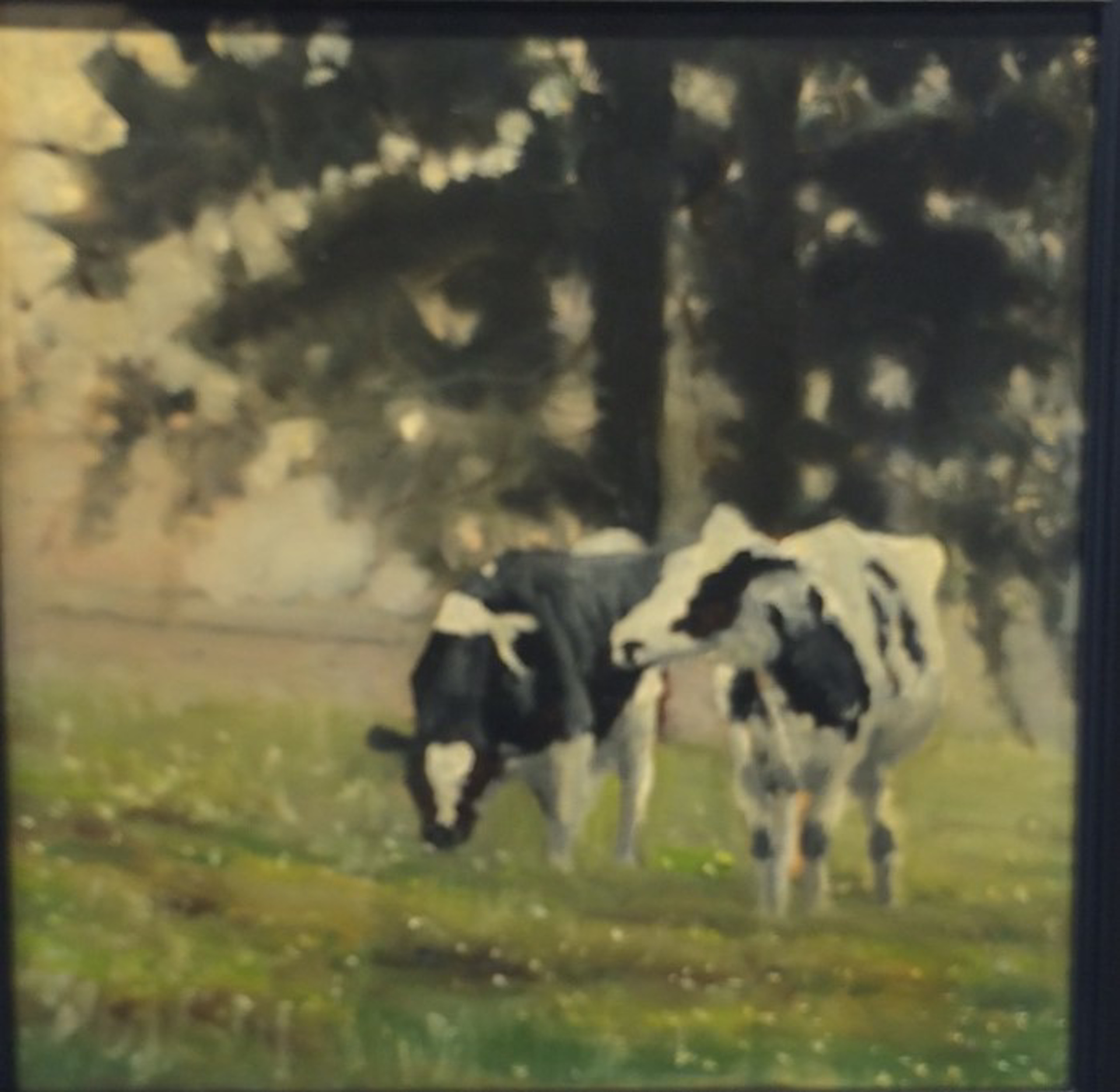 Holsteins In Pasture by John Reynolds