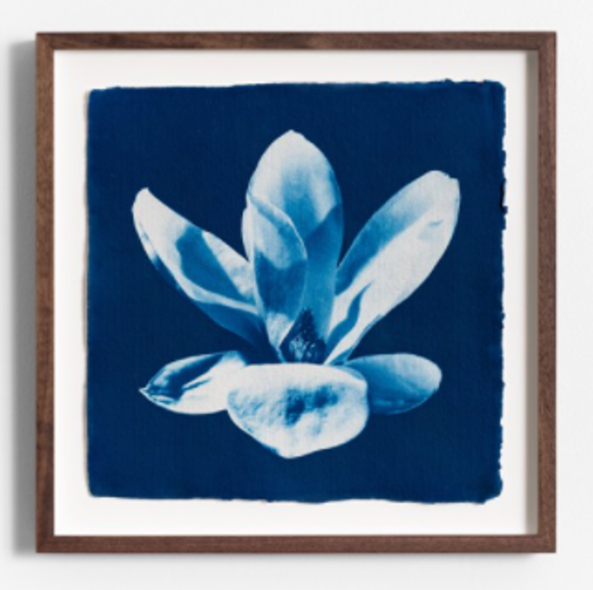 Blue Magnolia (V/IX), 2023 by Oliver Bernardi - FLORA | META