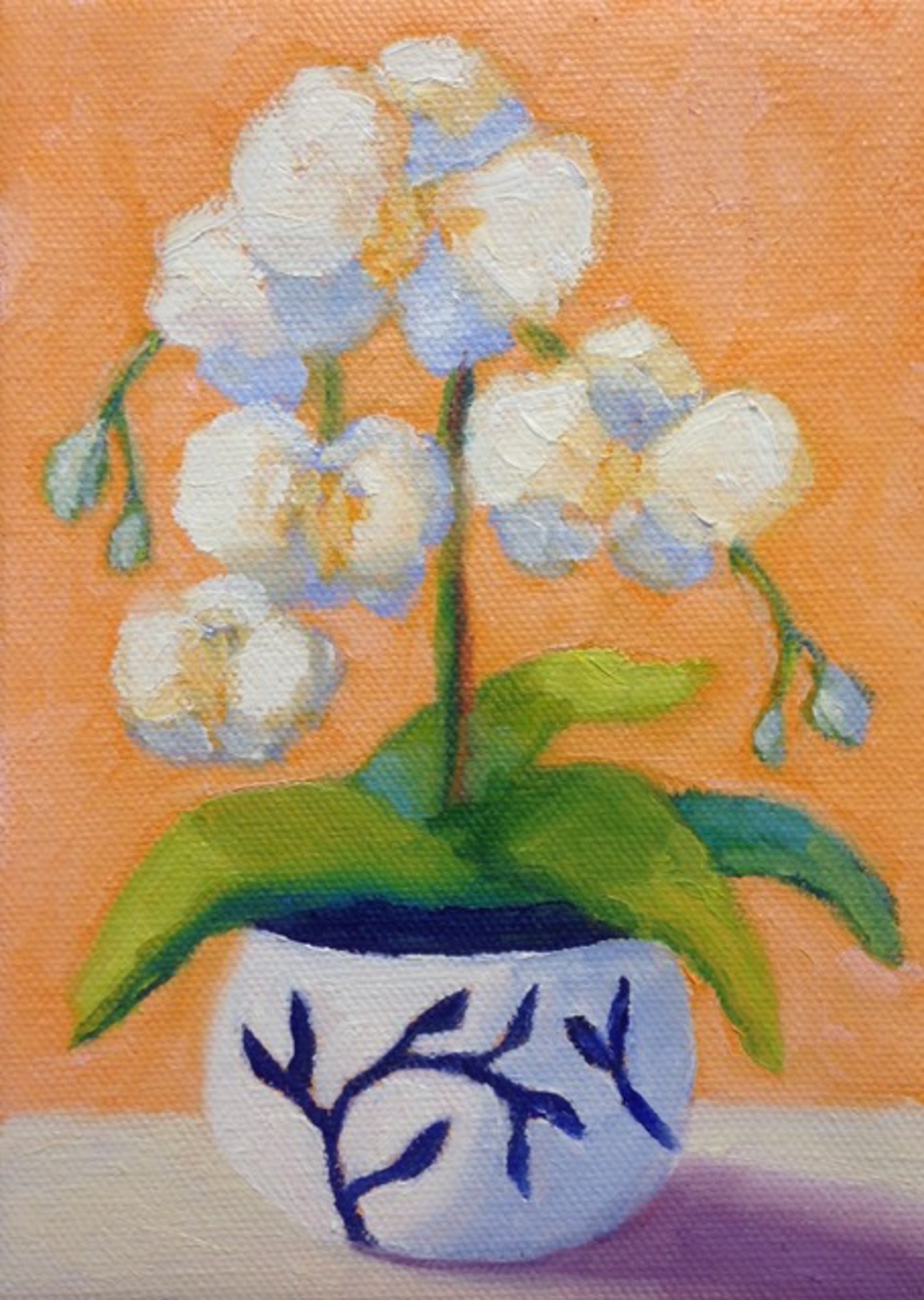 White Orchid by Pat Doherty