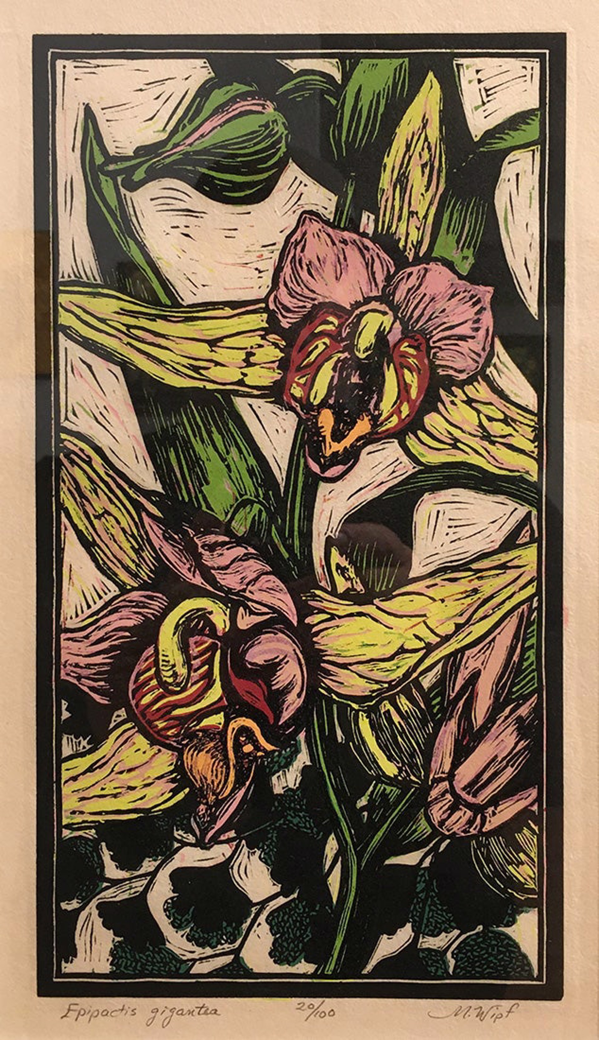 Epipactis Gigantea 1 by Mary Wipf
