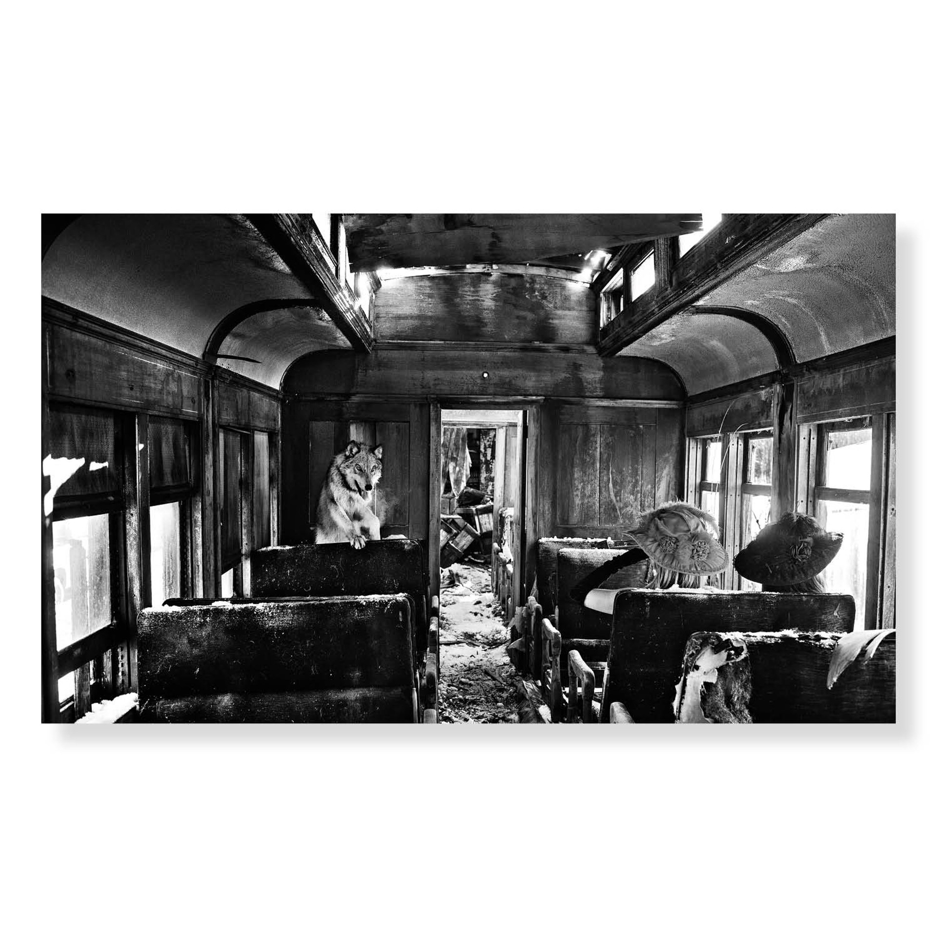 Ride the Ghost Train by David Yarrow