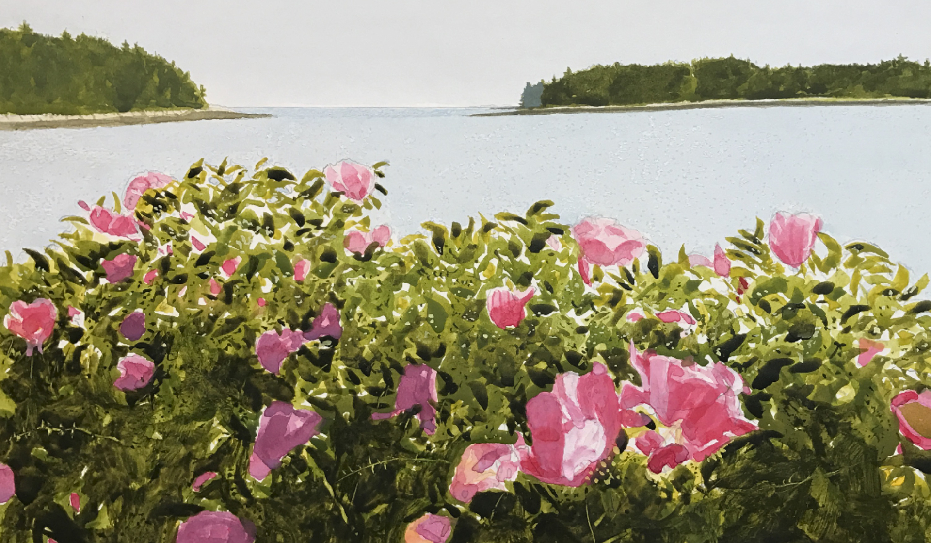 Island Roses by Gary Akers