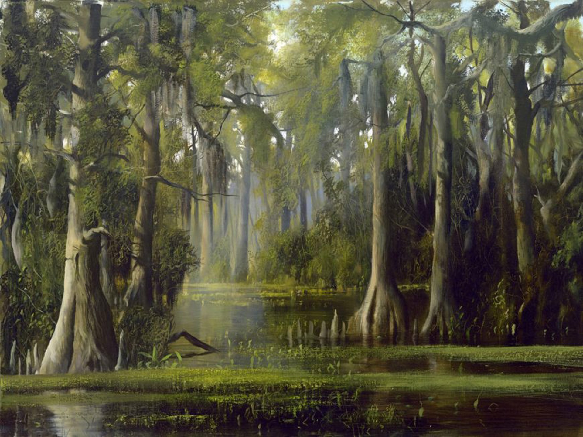 Swamp by C. Ford Riley