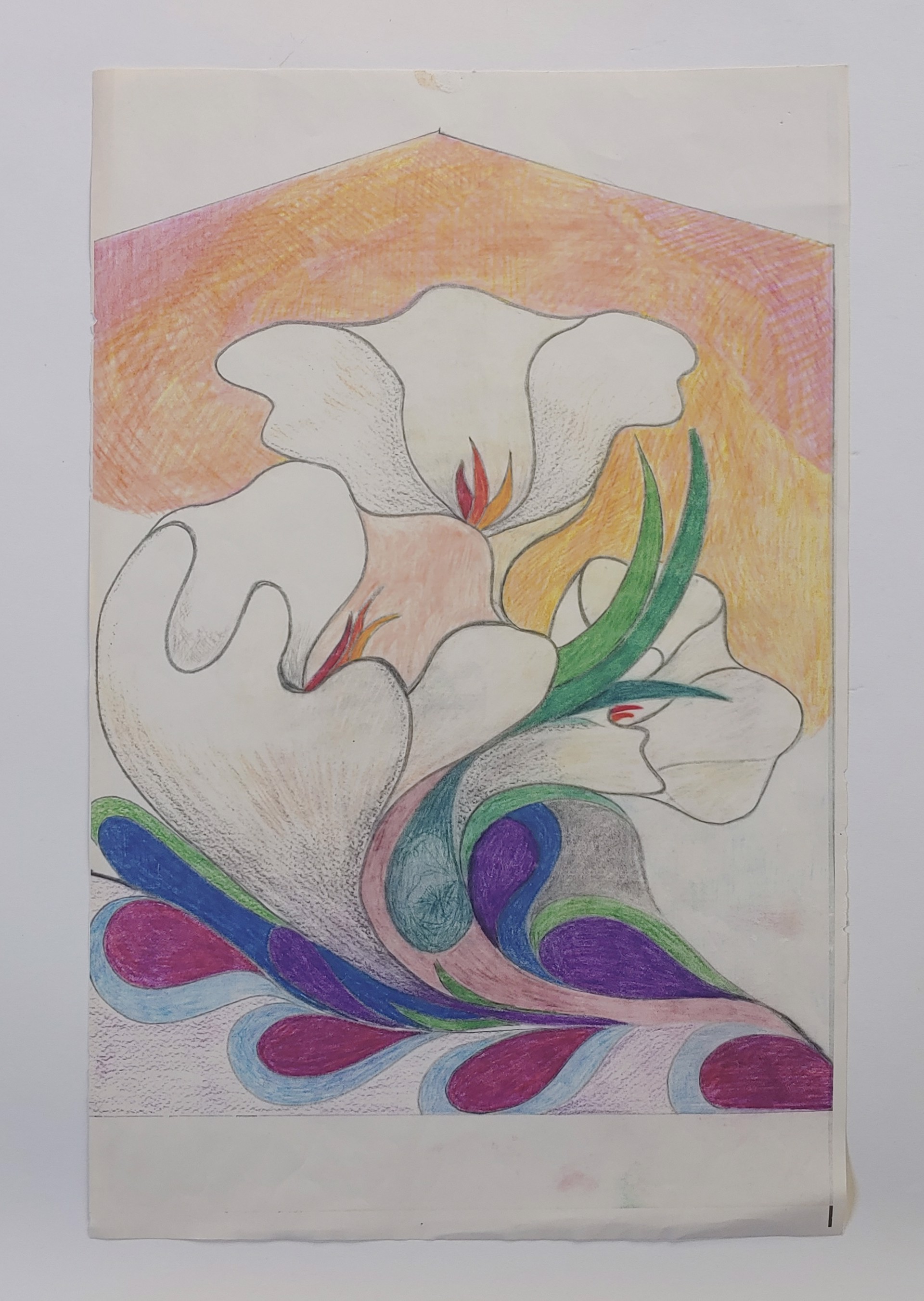 Flowers Drawing by David Amdur