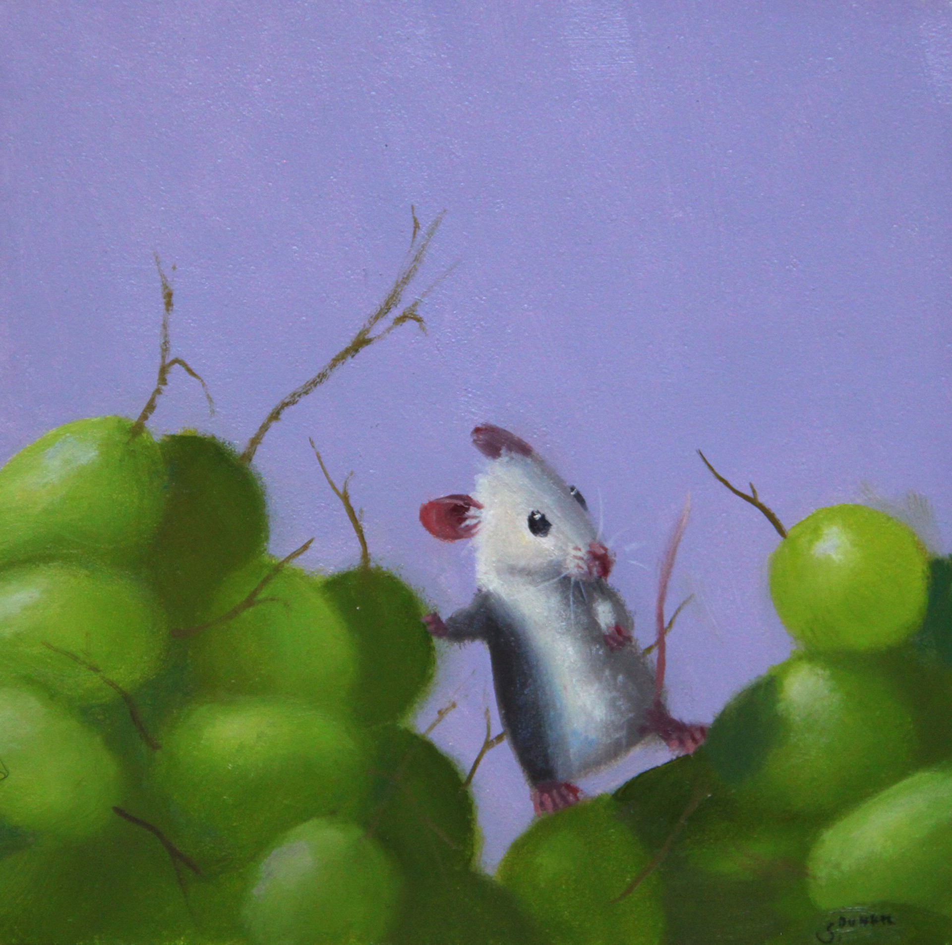 Grape Territory by Stuart Dunkel
