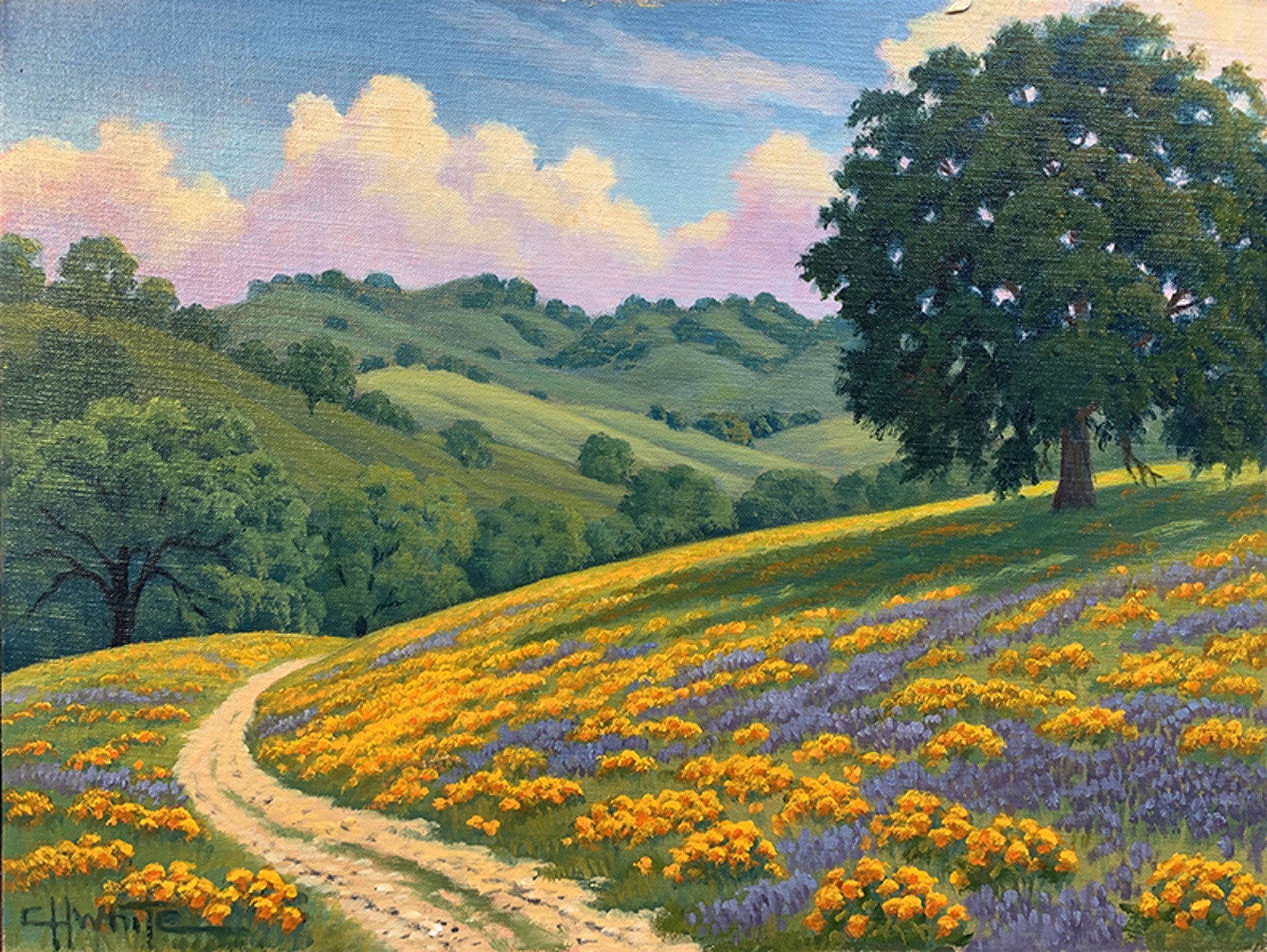 Road Through the Poppies by Charles White