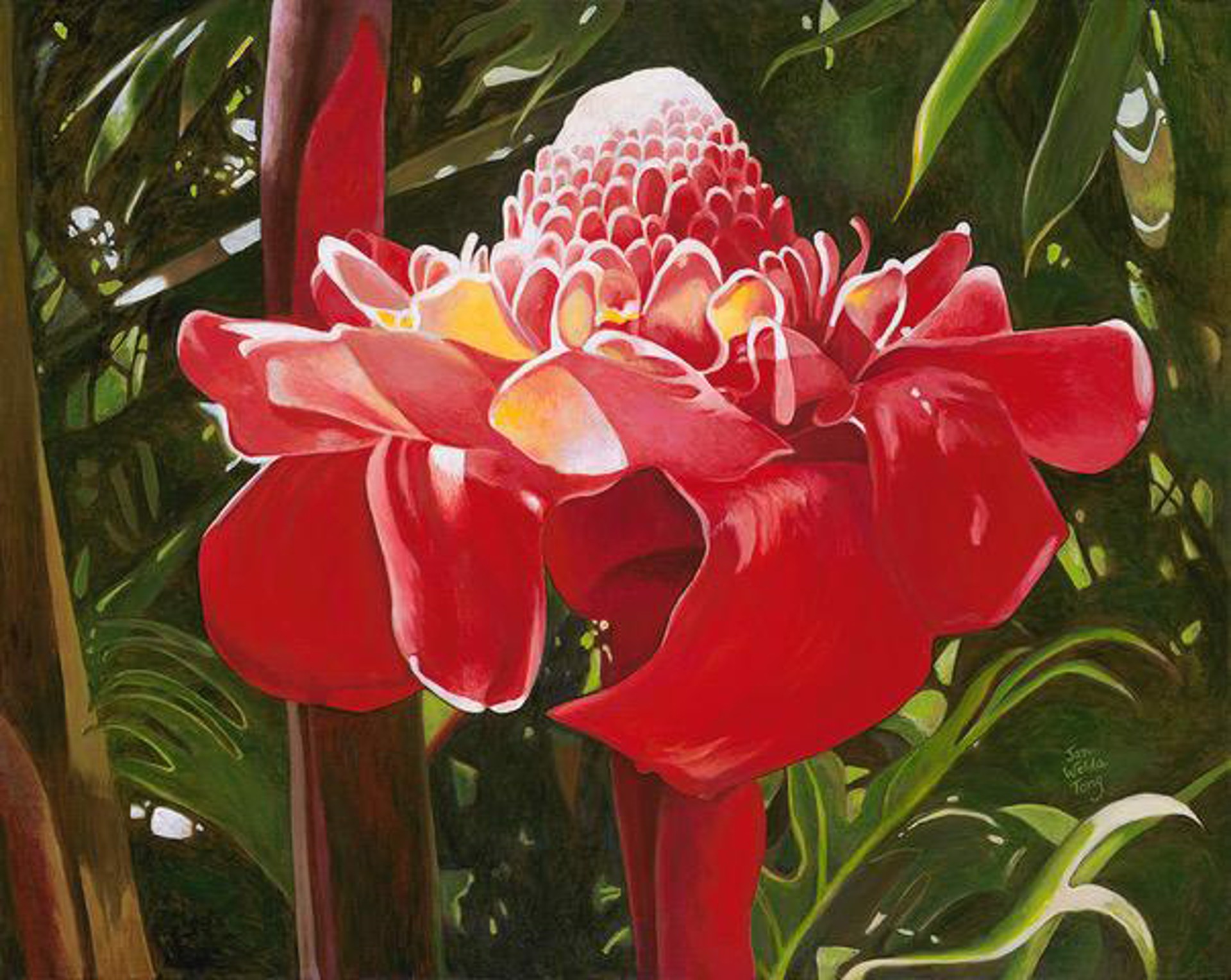 Torch Ginger by Jan Welda Tong