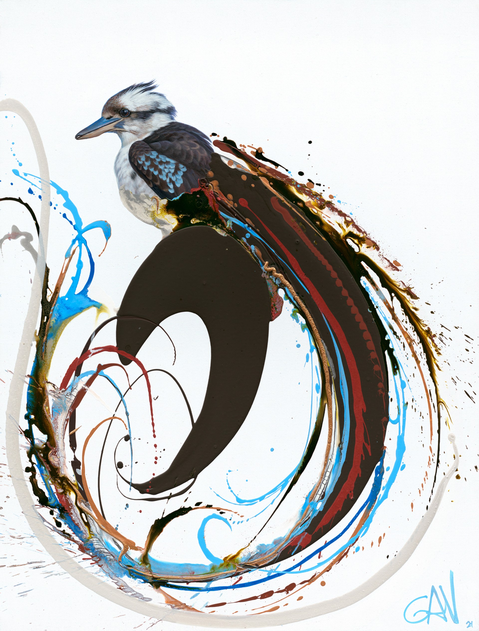 Kookaburra (Edition) by Gav Barbey