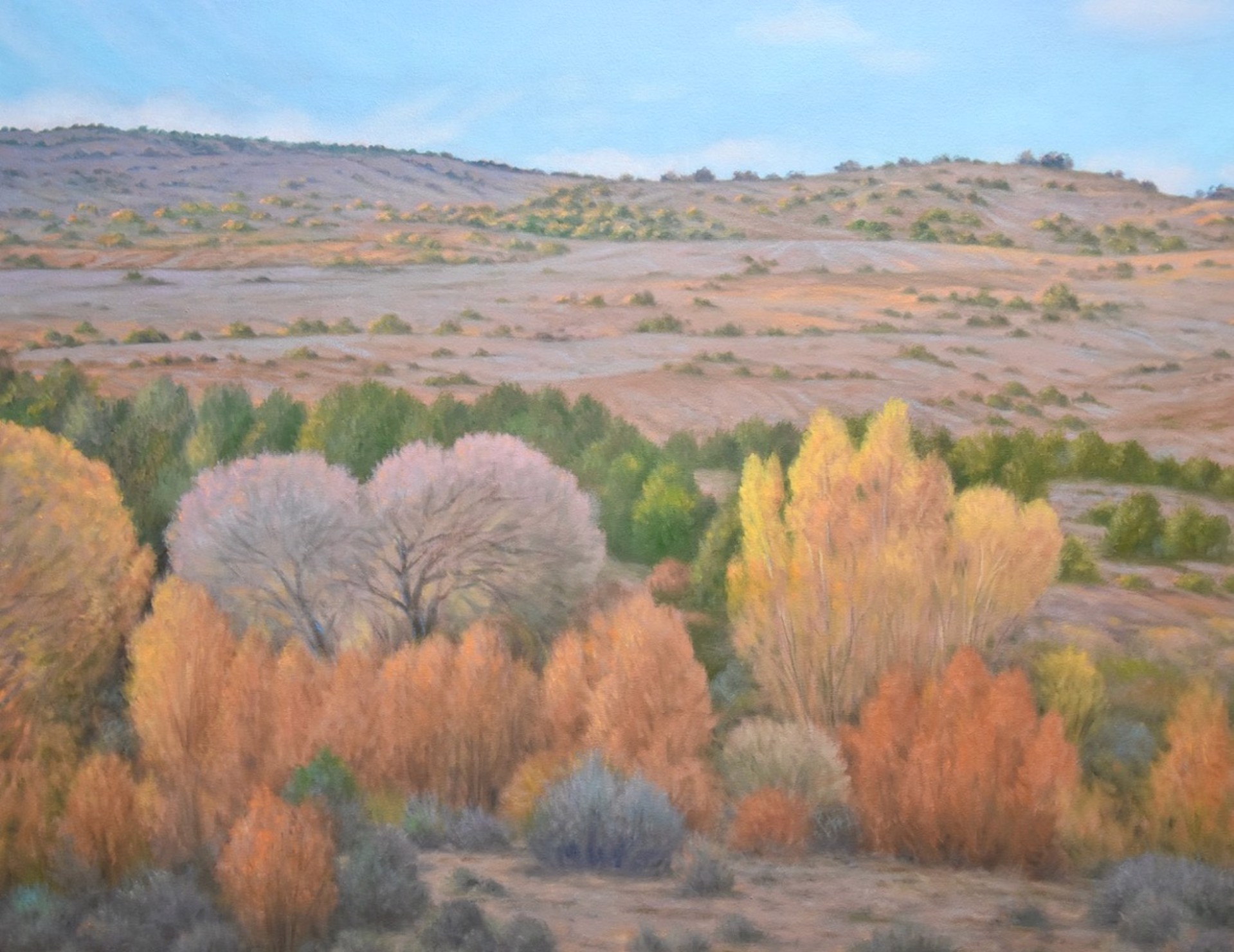 Near Santa Fe by Willard Dixon