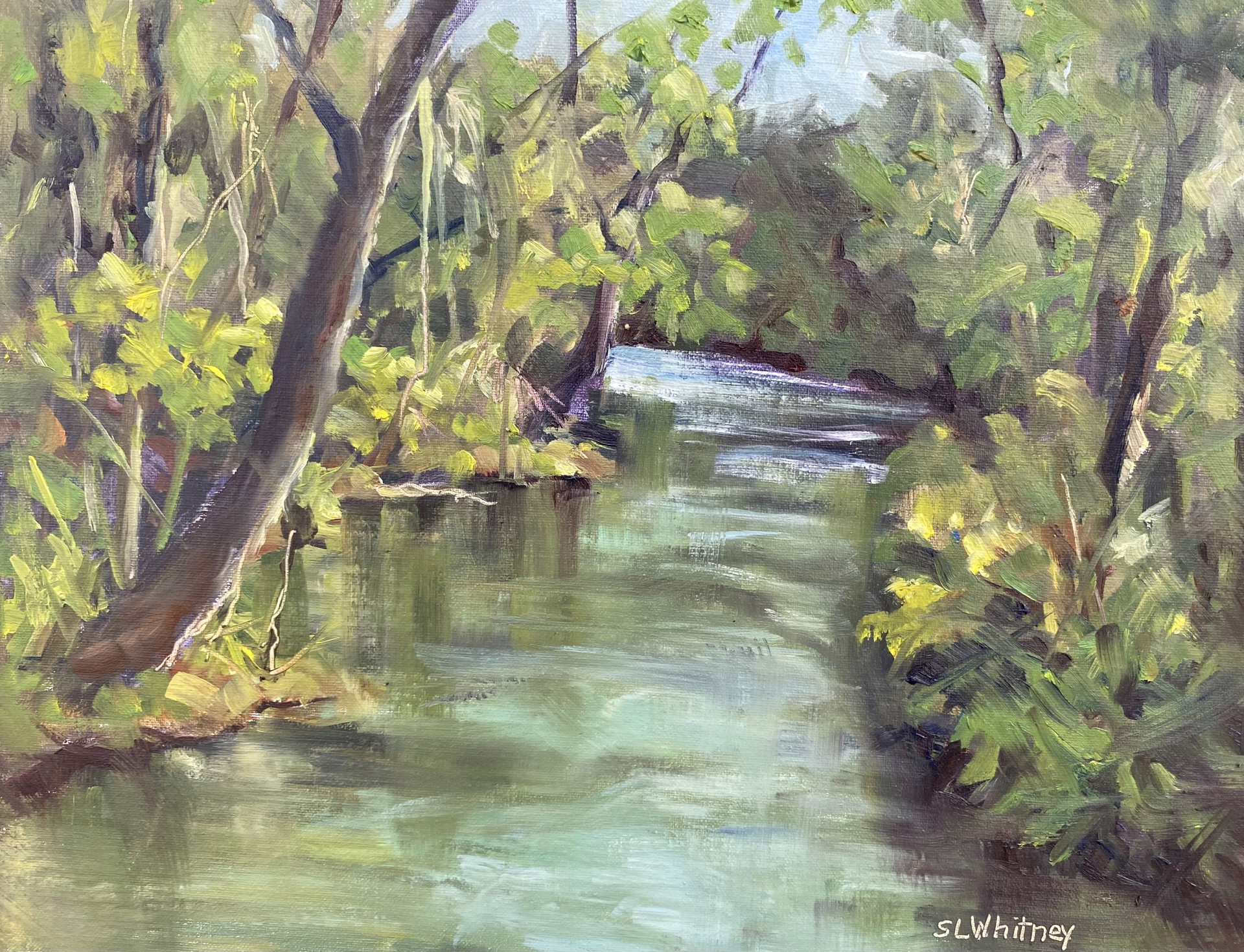 Kelly Springs by Sherry Whitney